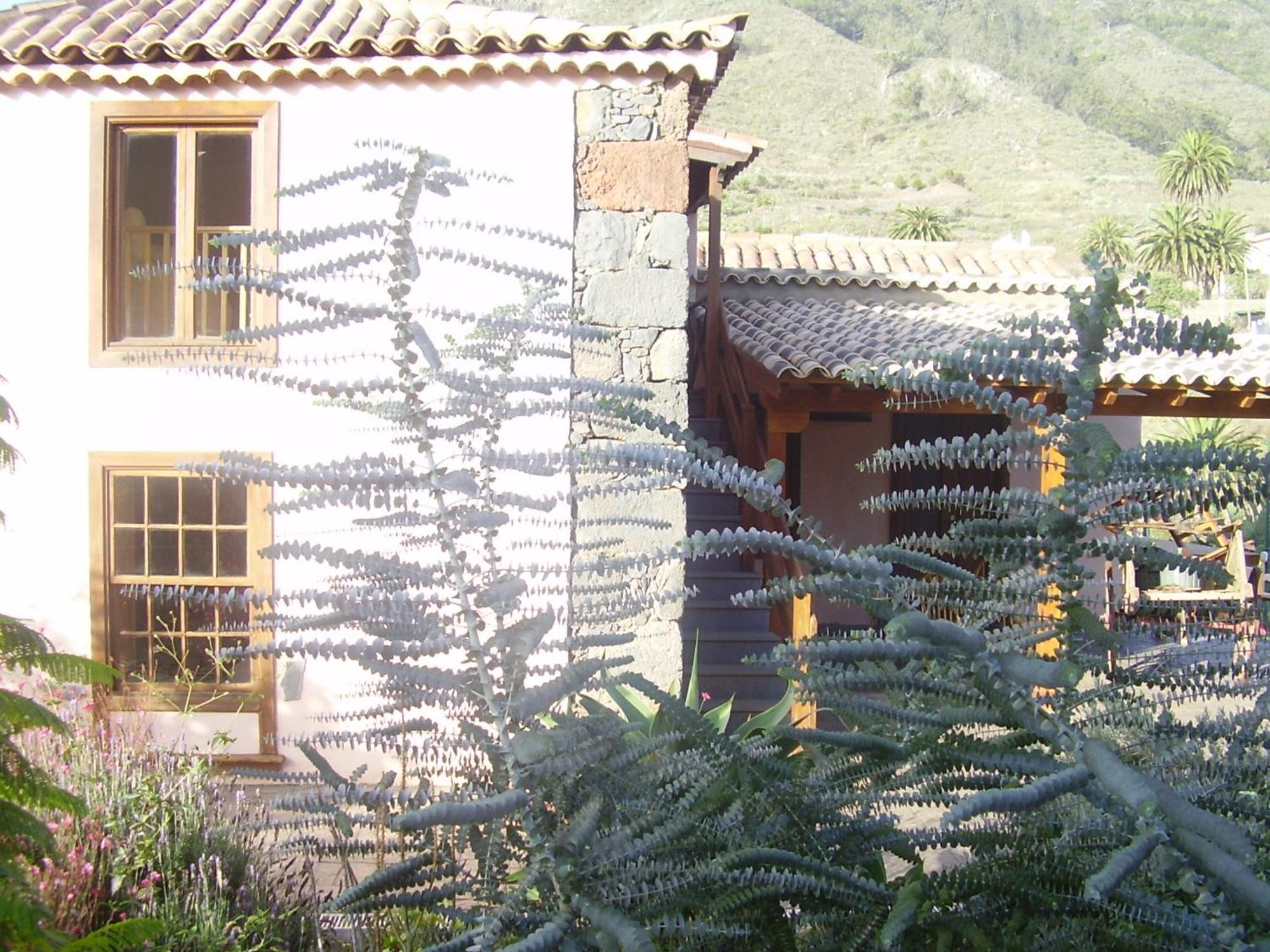 Casa Dona Justa Apartment