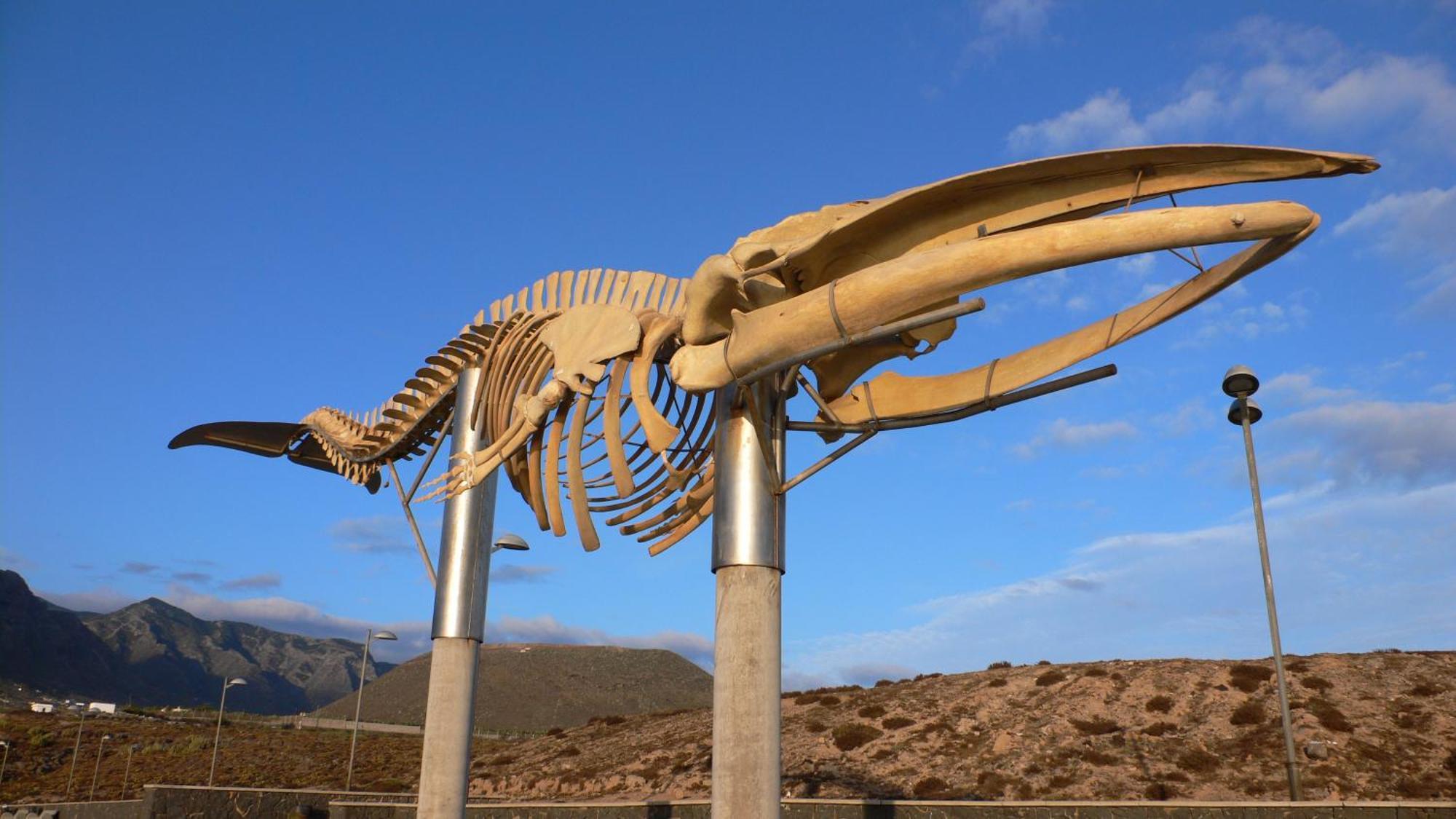 Сasa de vacaciones Casala Gomera Los Silos