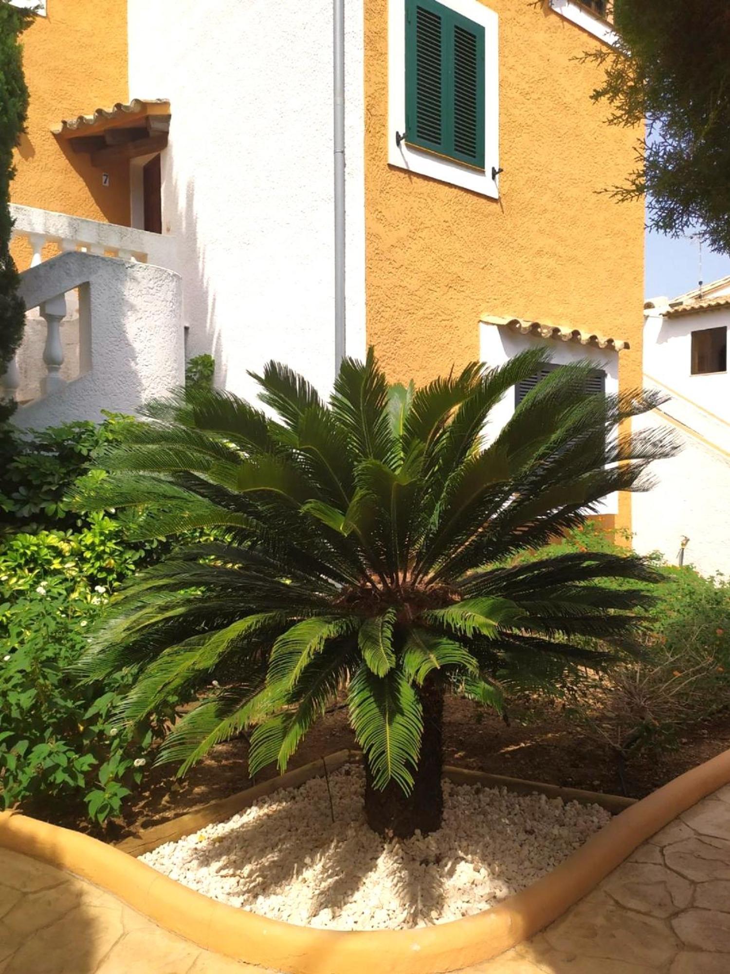Tantra Majorca With Pool Apartamento Puerto Pollensa