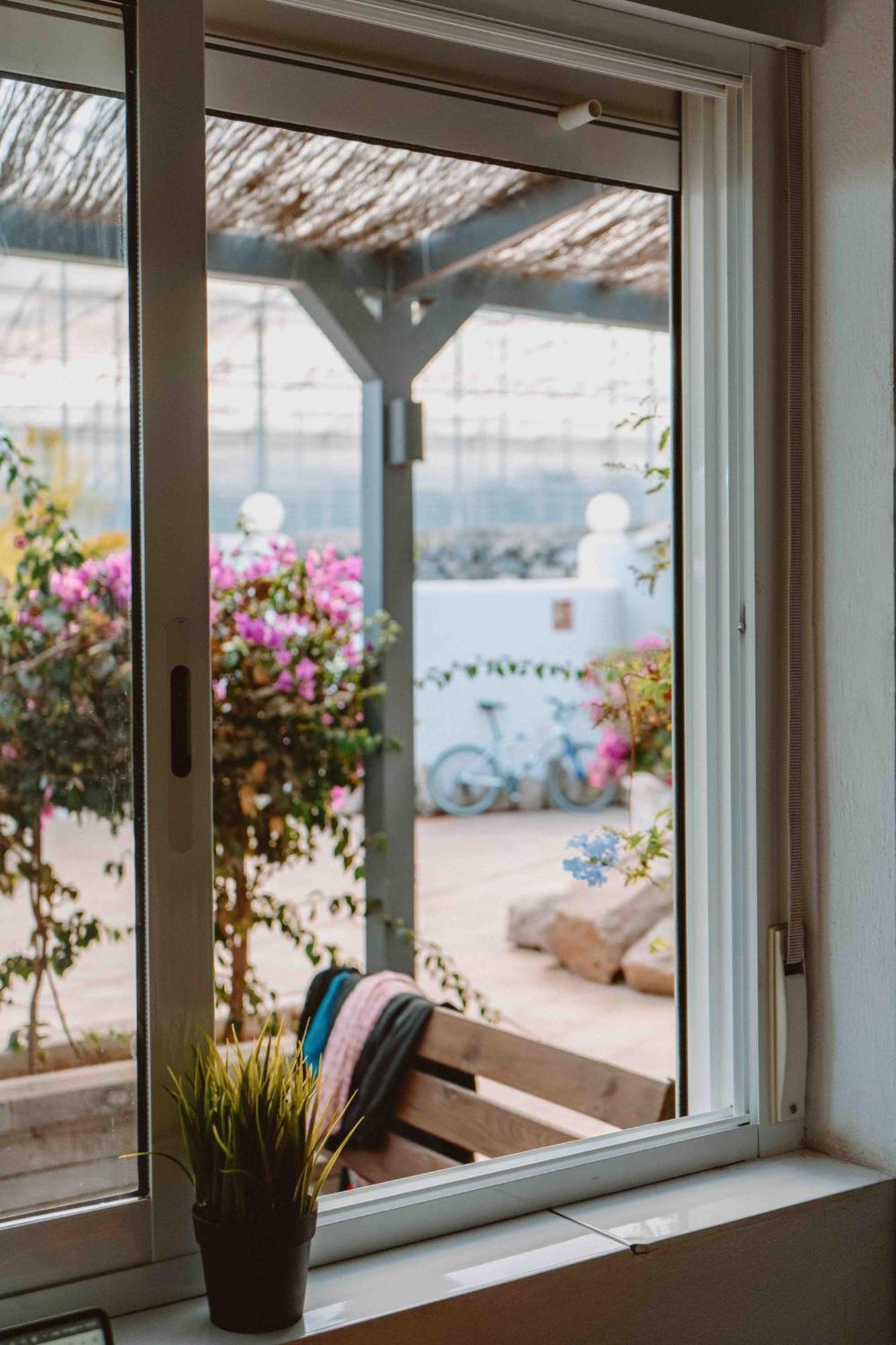 The Tree House Tenerife Hostel