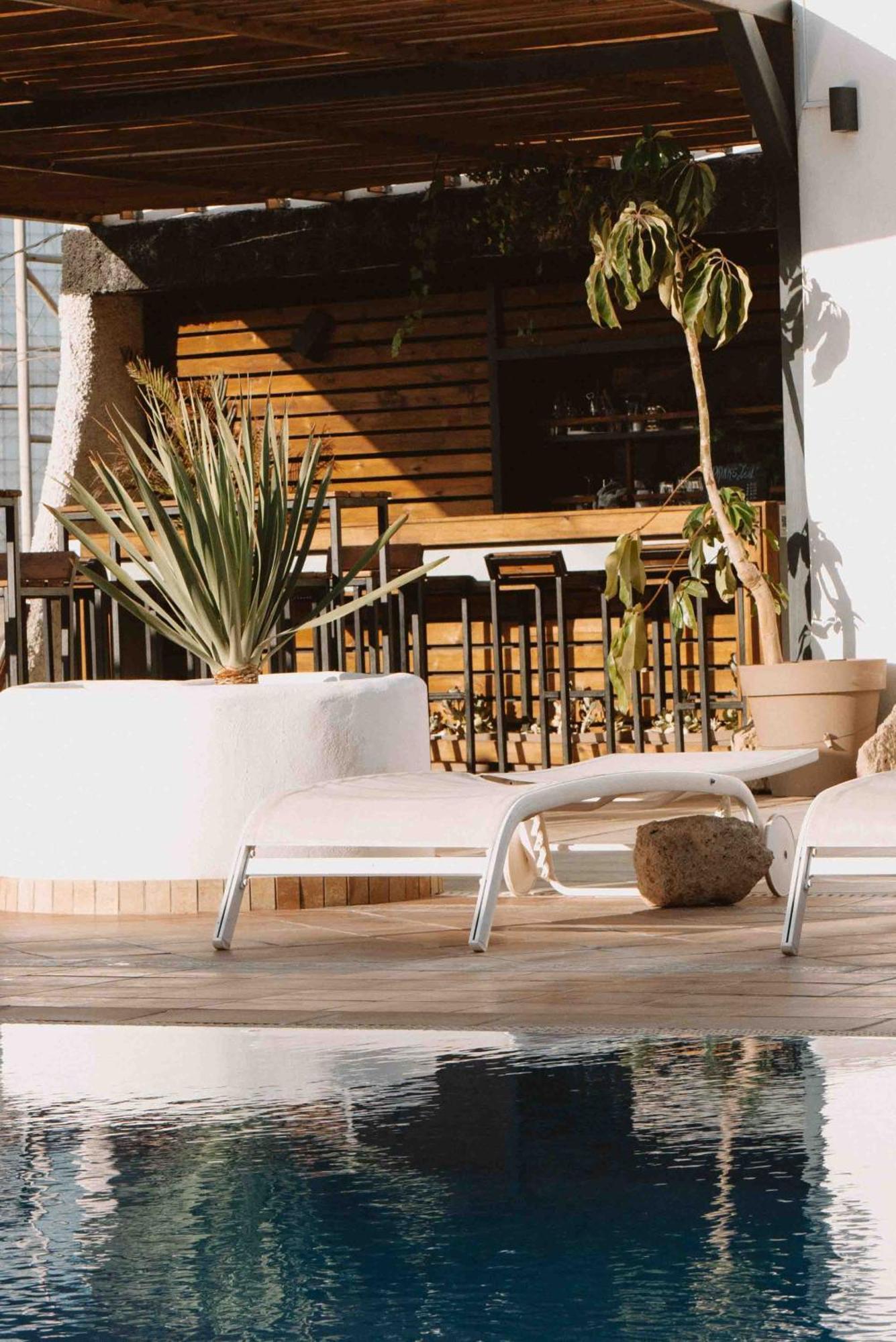The Tree House Tenerife Hostel El Medano (Tenerife)