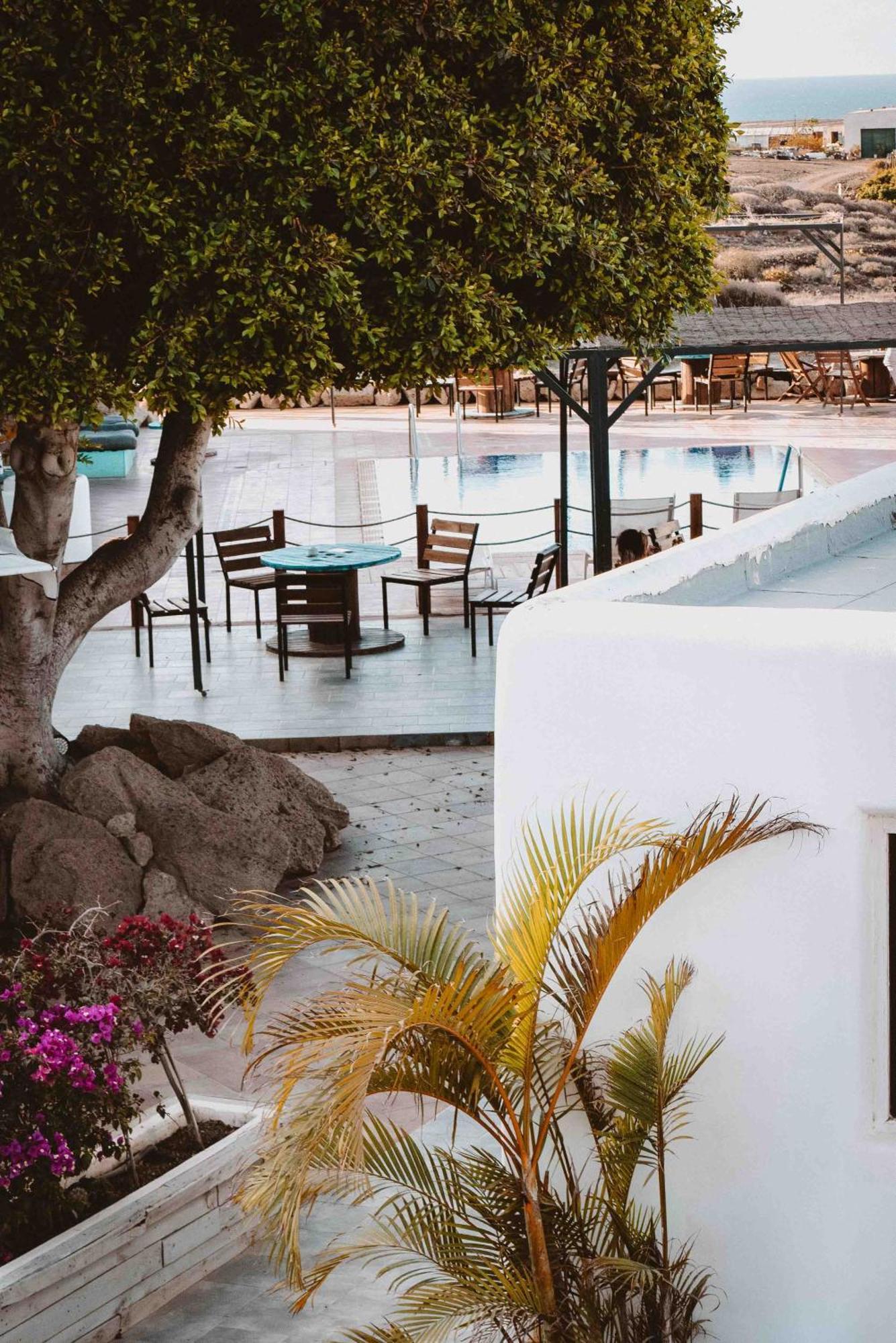 Hostel The Tree House Tenerife