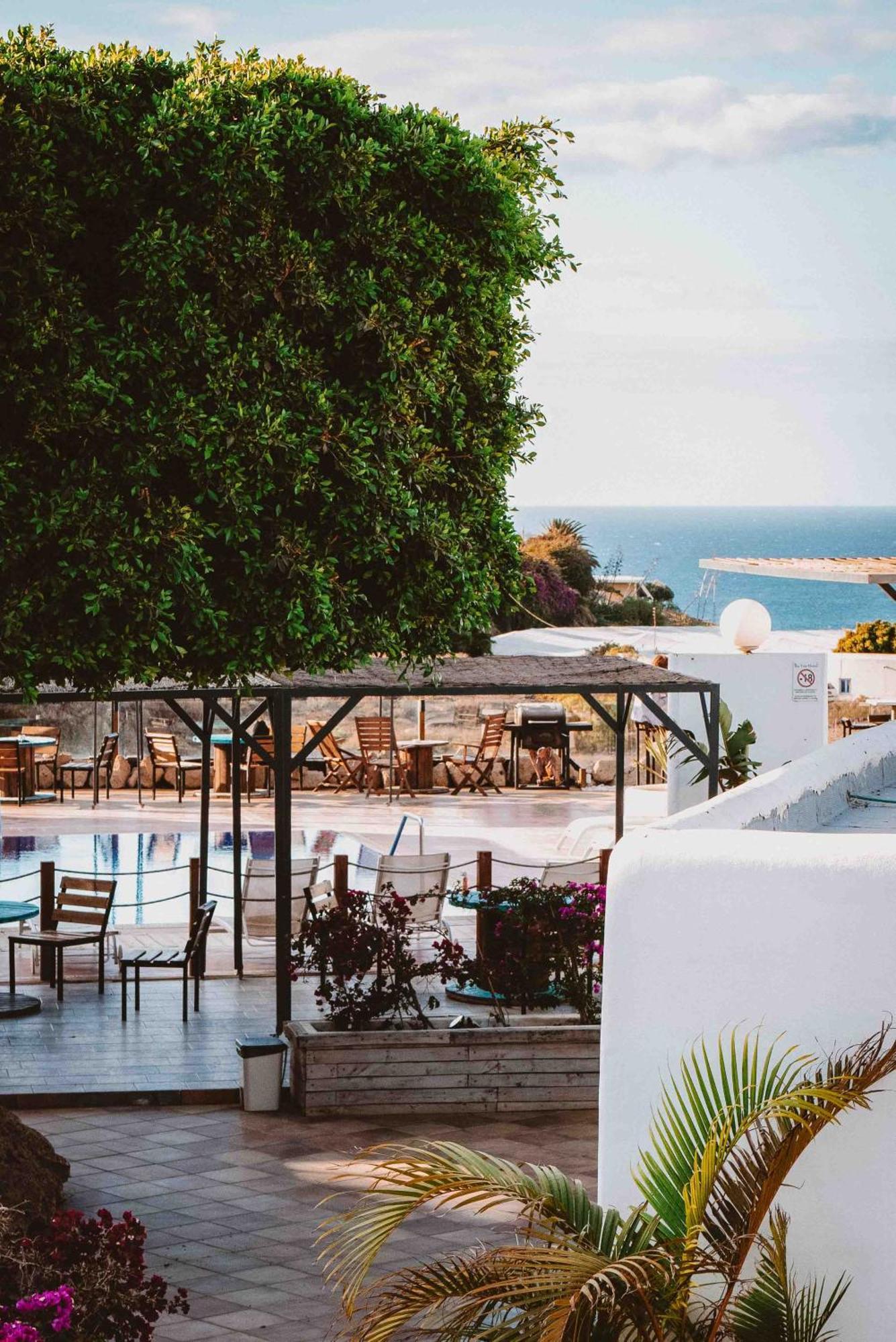 Hostel The Tree House Tenerife *