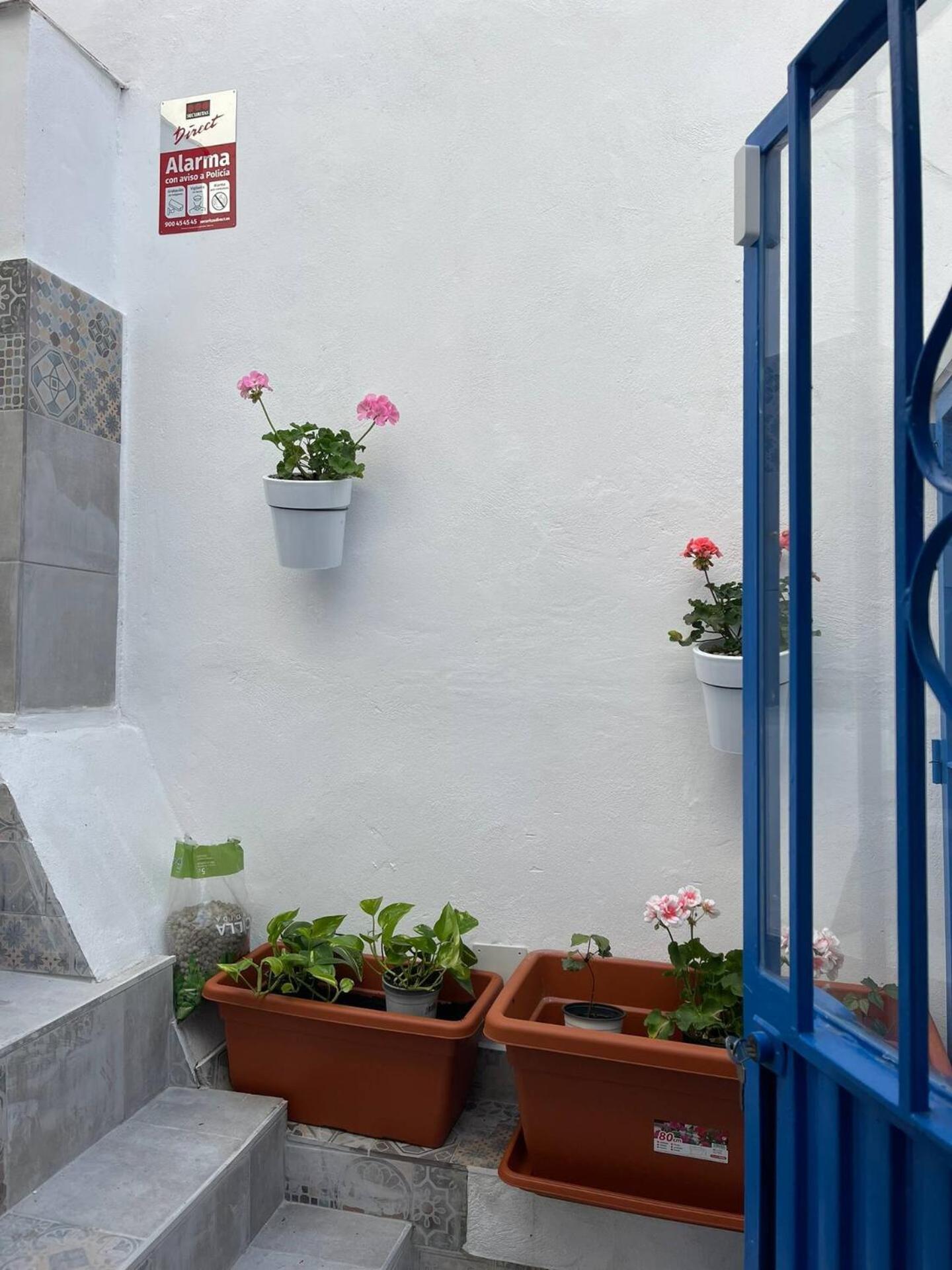 Casa Blue