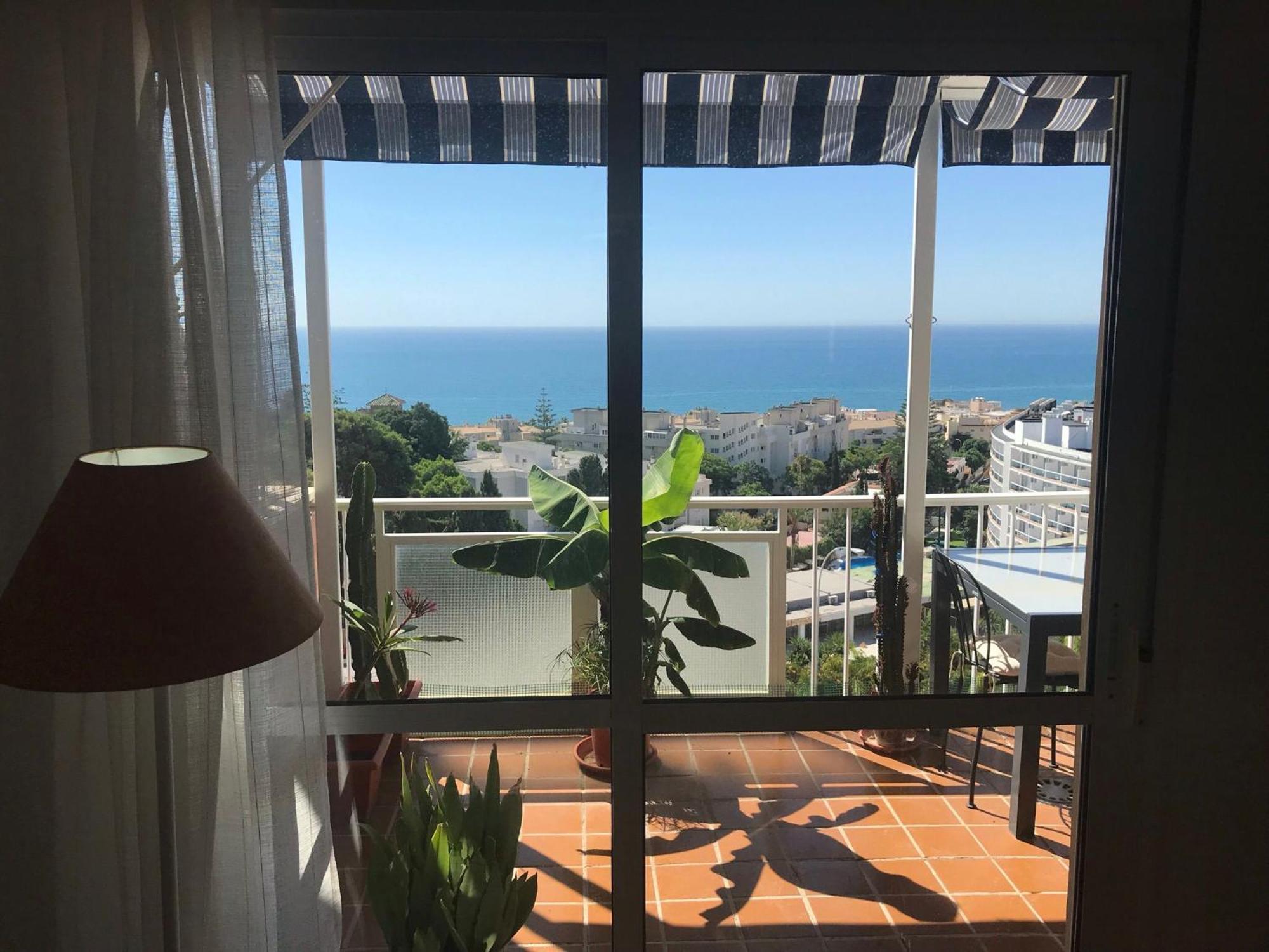 The Oasis Apartment