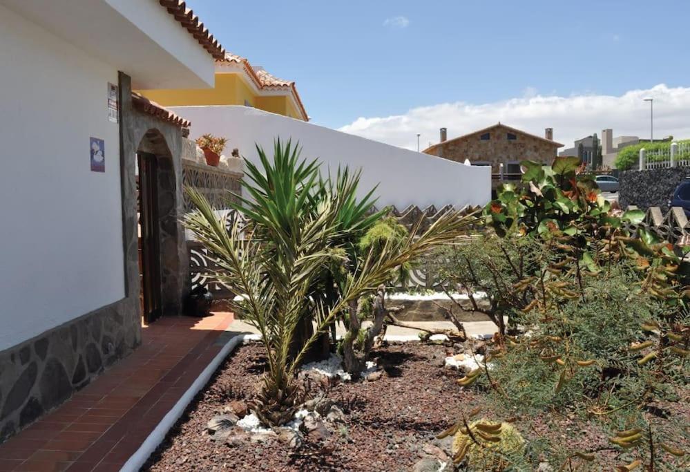 Cisnes Encantadora Casa Con Jardin Y Estudio Vista Al Mar * El Médano