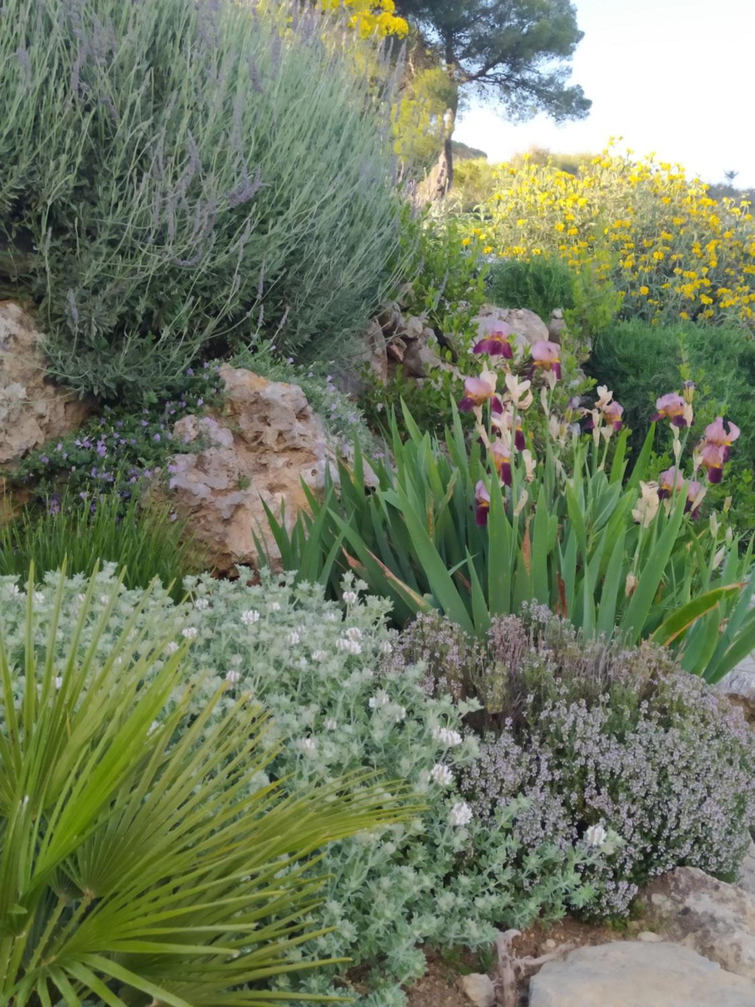 Country house Morenas *