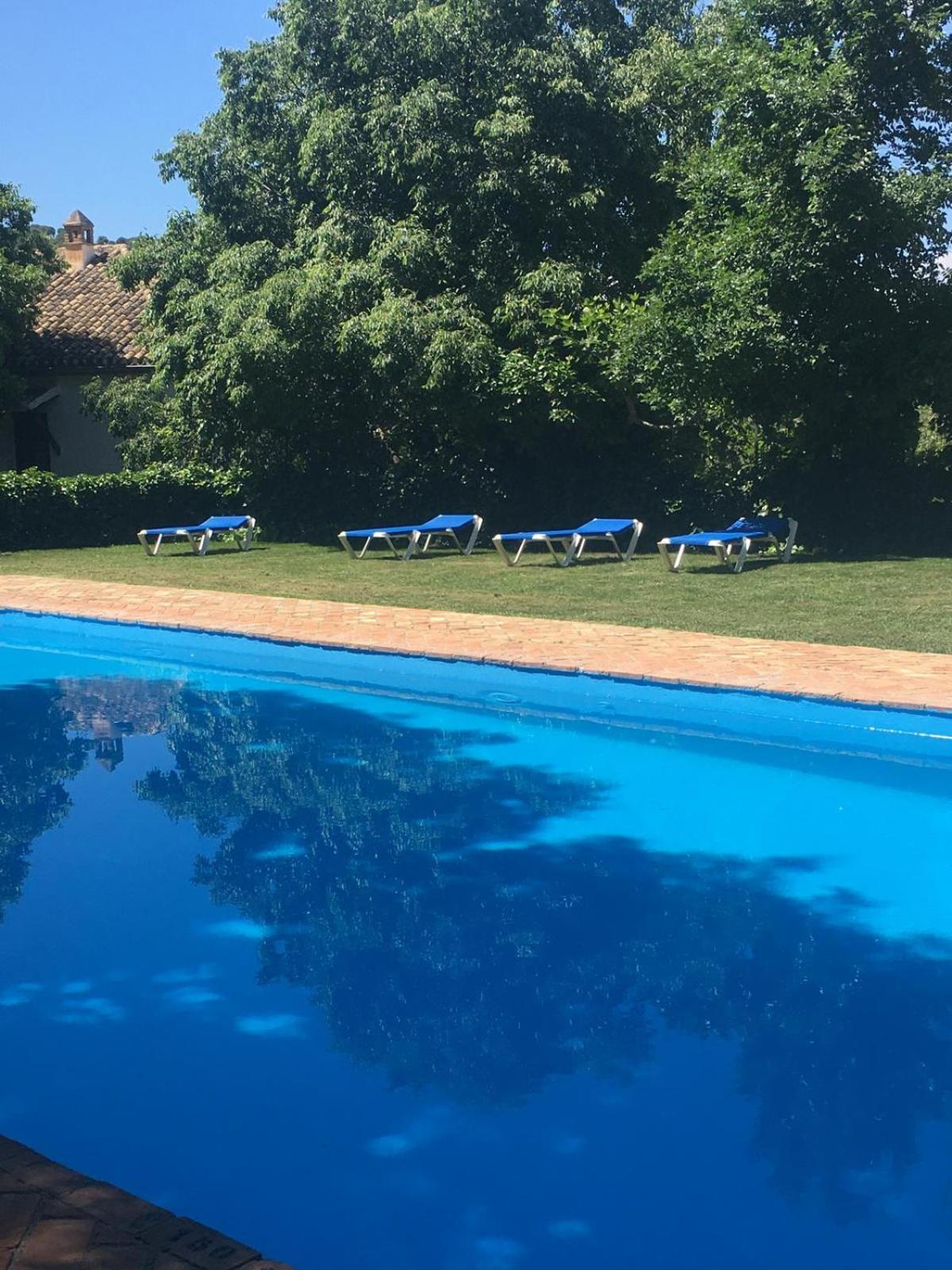 Apartment Cortijo Balzain