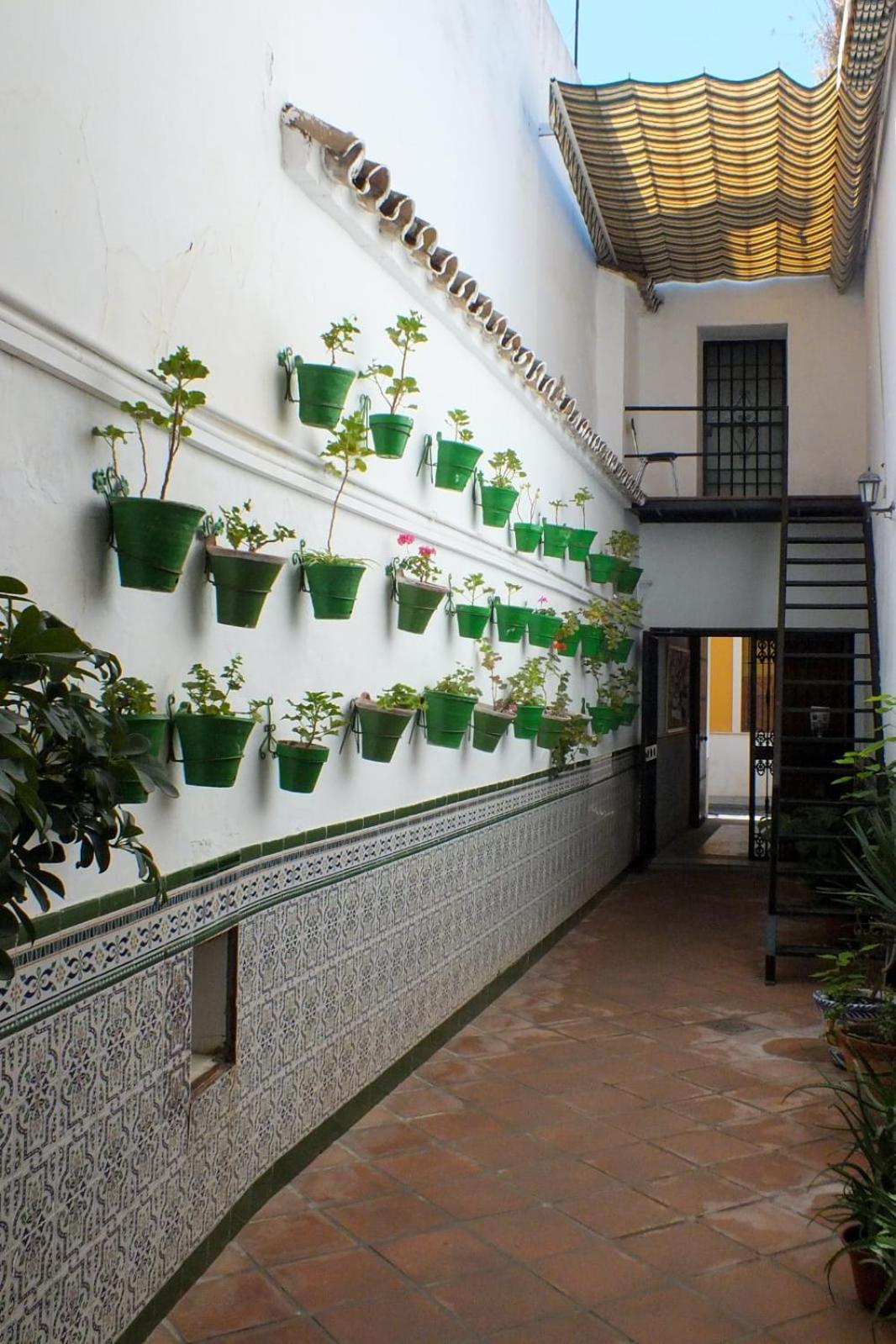Pensión El Patio Cordobés *