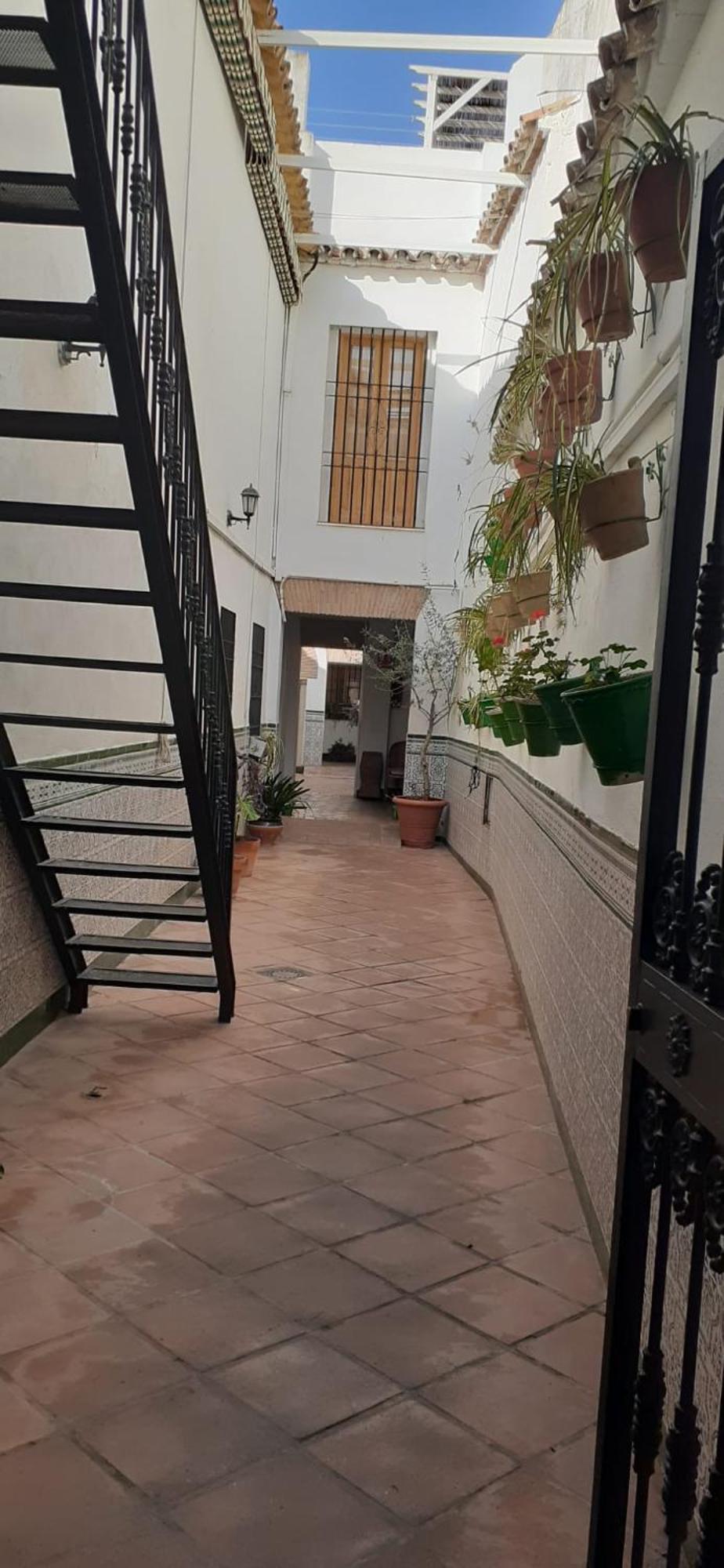El Patio Cordobés *