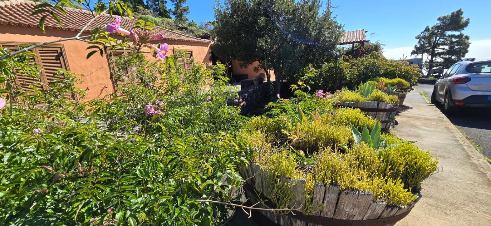 Сasa de vacaciones La Bodega Fuencaliente de la Palma