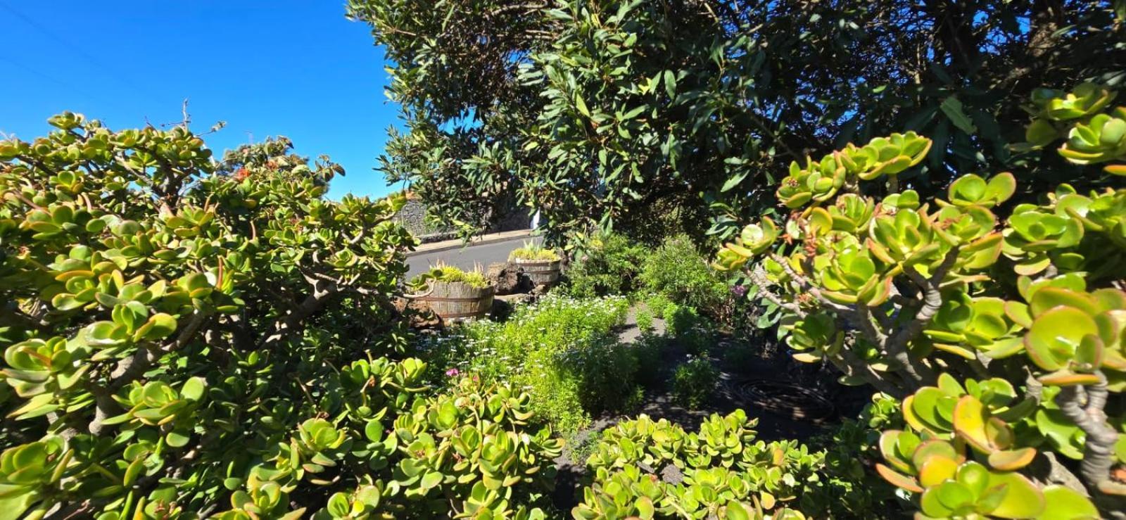 La Bodega Fuencaliente de la Palma