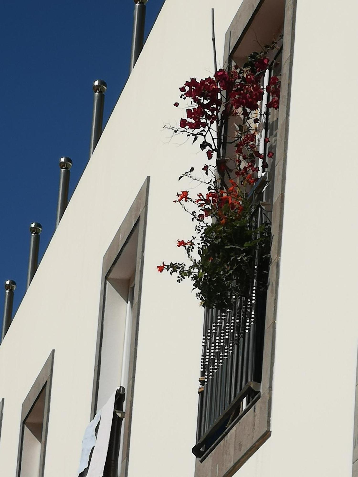 Apartment Sonneland *
