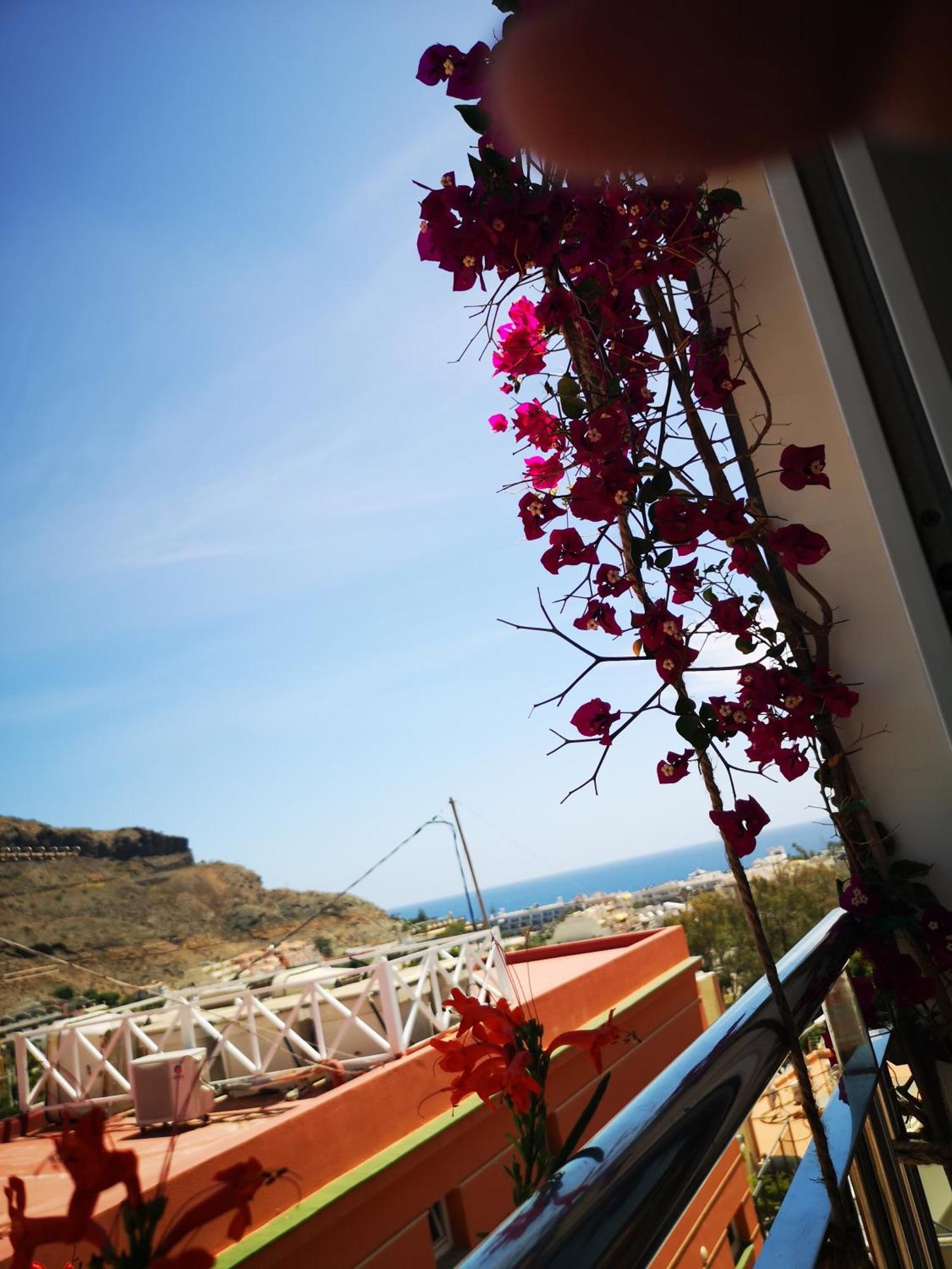 Sonneland Apartment Puerto De Mogan