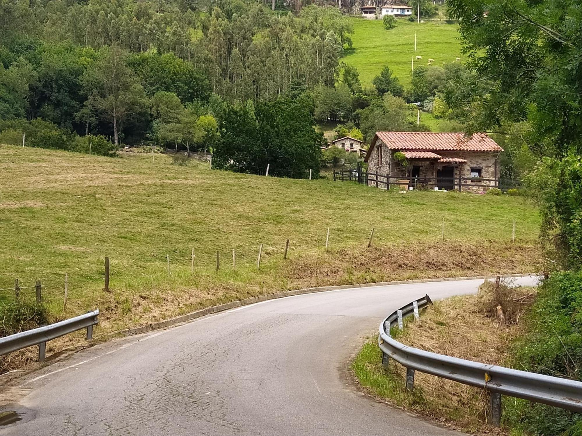 Jerreru *