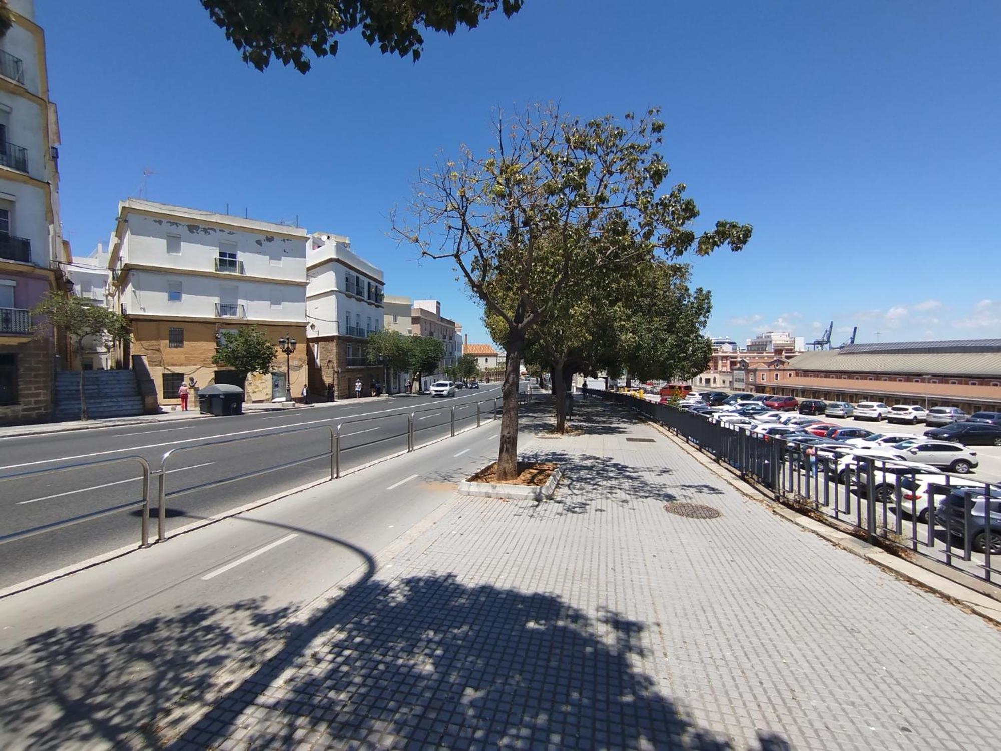 Loft En Corazon De By C.dreams Apartment Cadiz