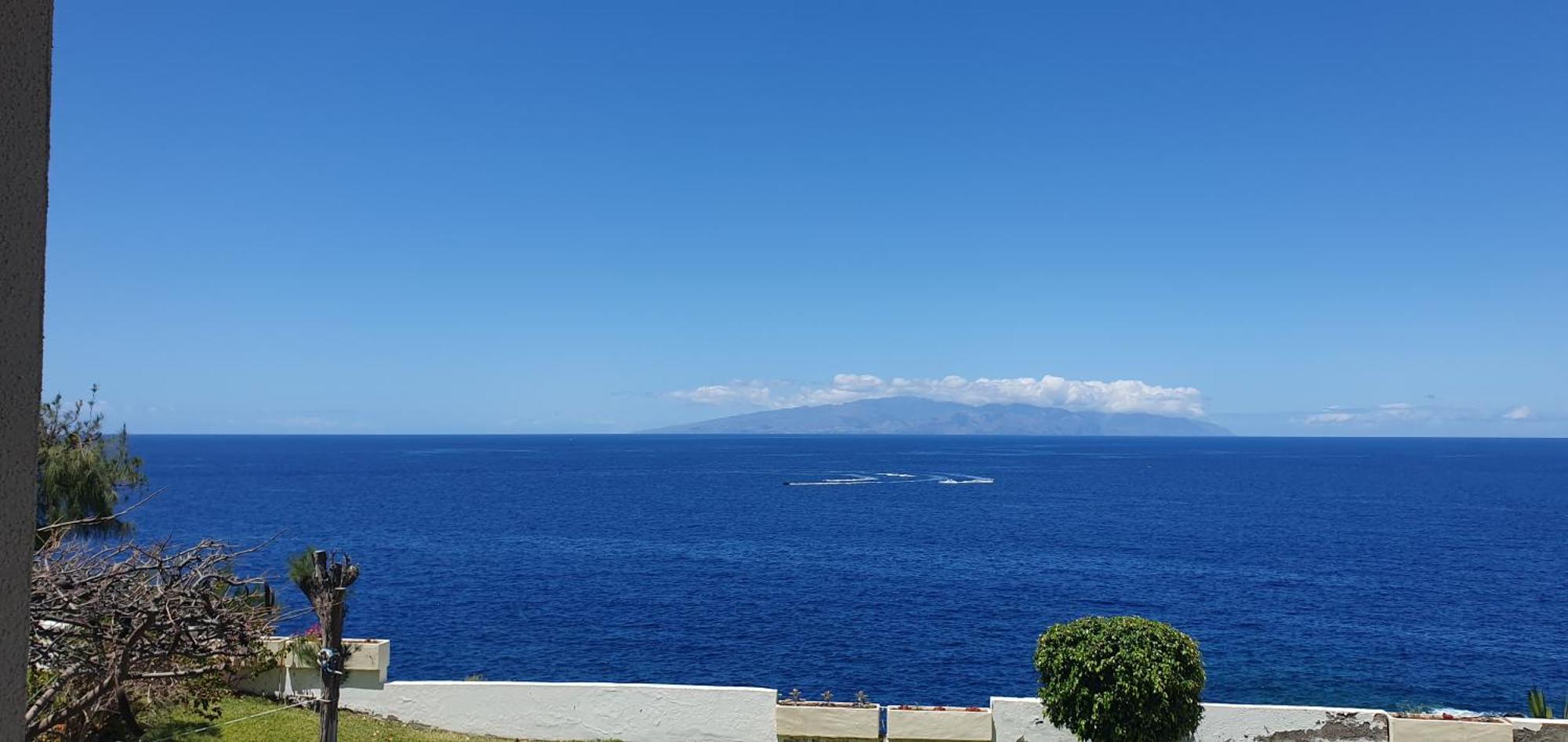 Tenerife Lizards - In The First Line *