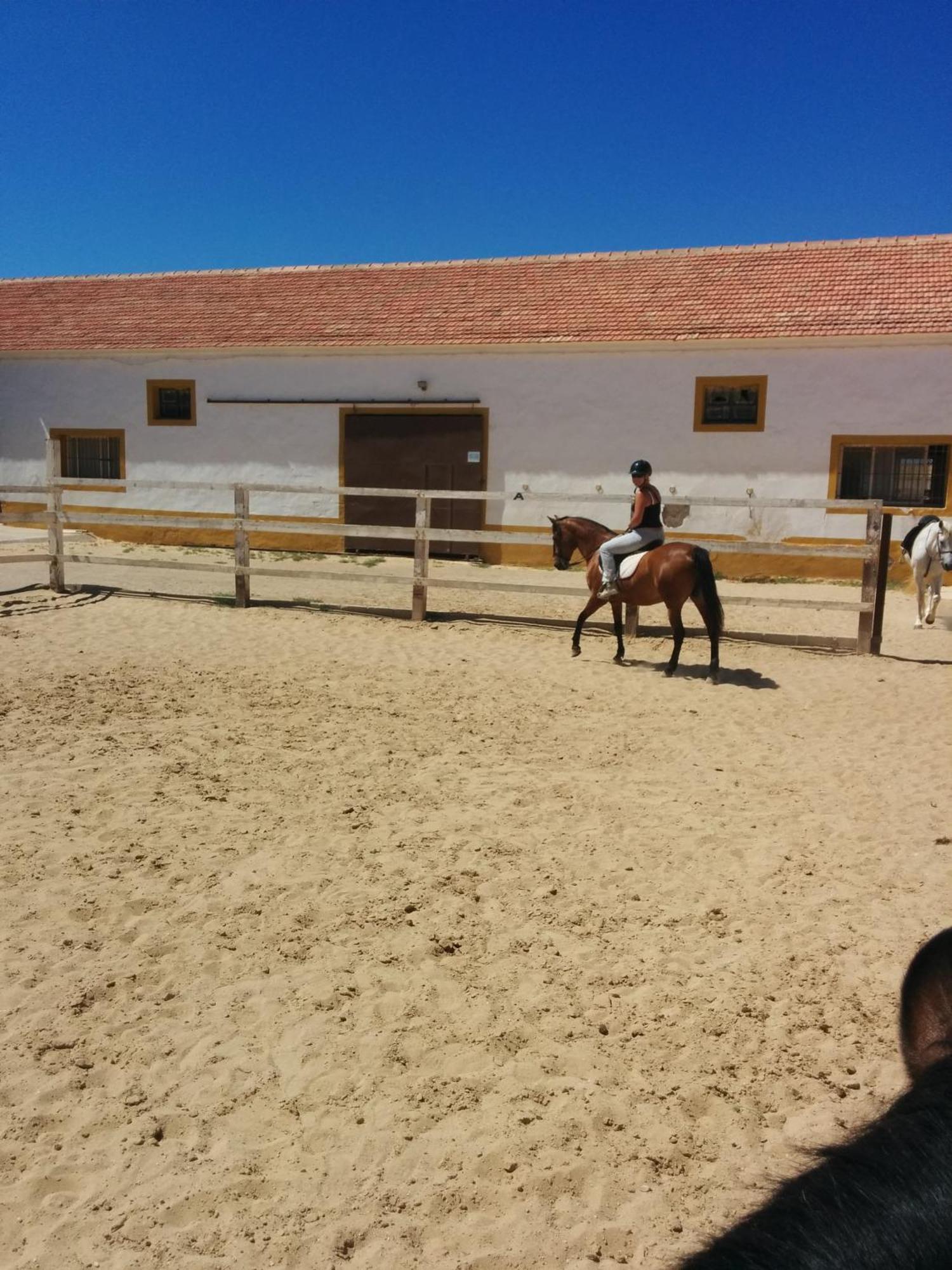 Casa Bounty Los Nietos