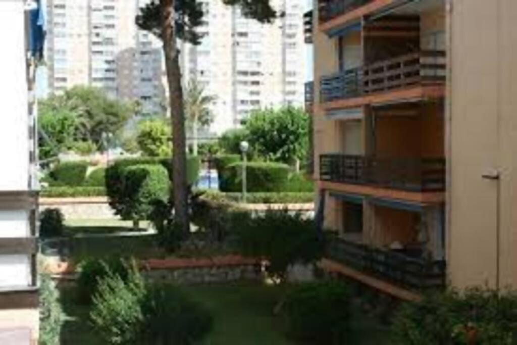 Lanzas Playa Muchavista Apartment *