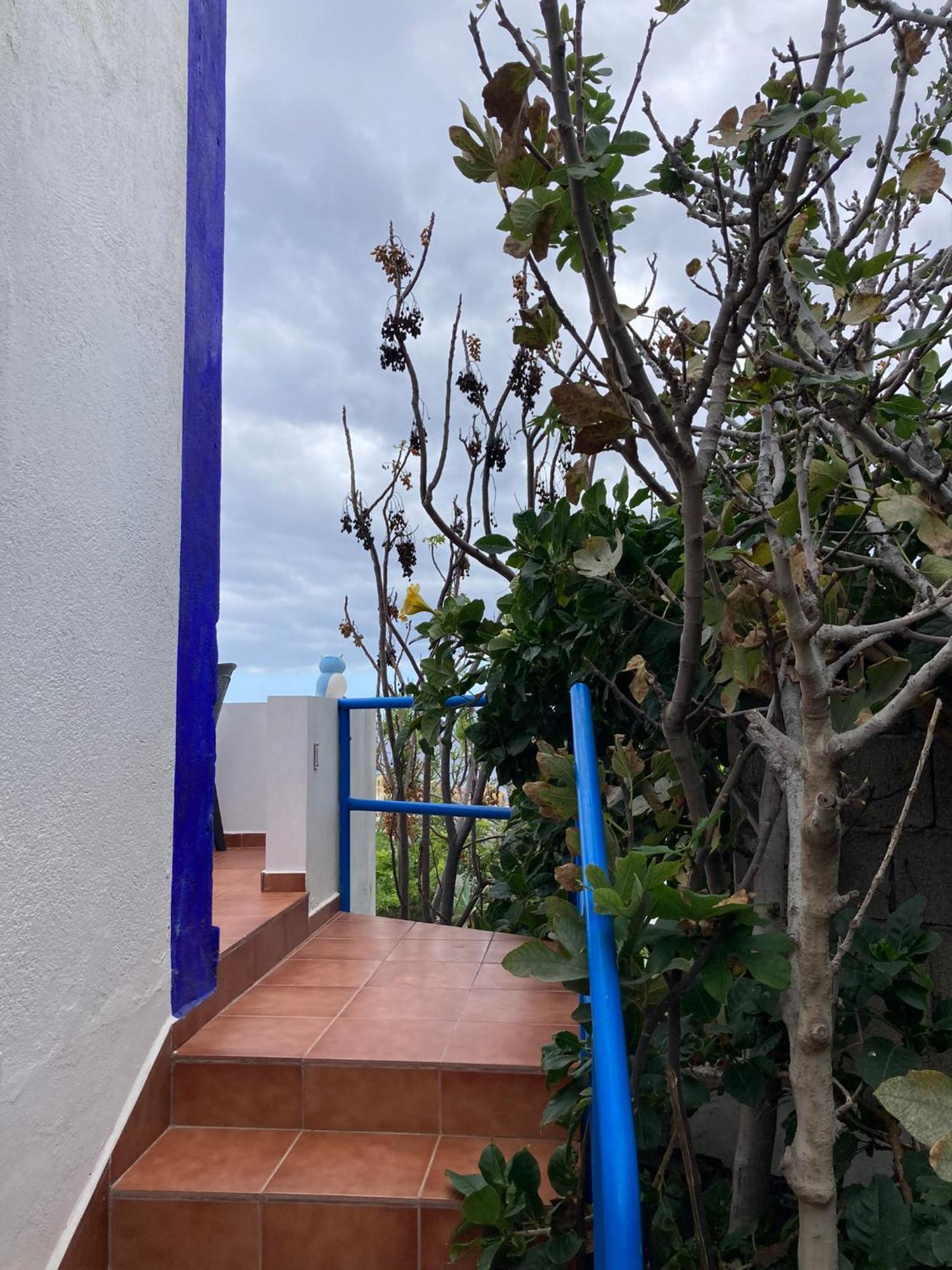 Marina Apartamento