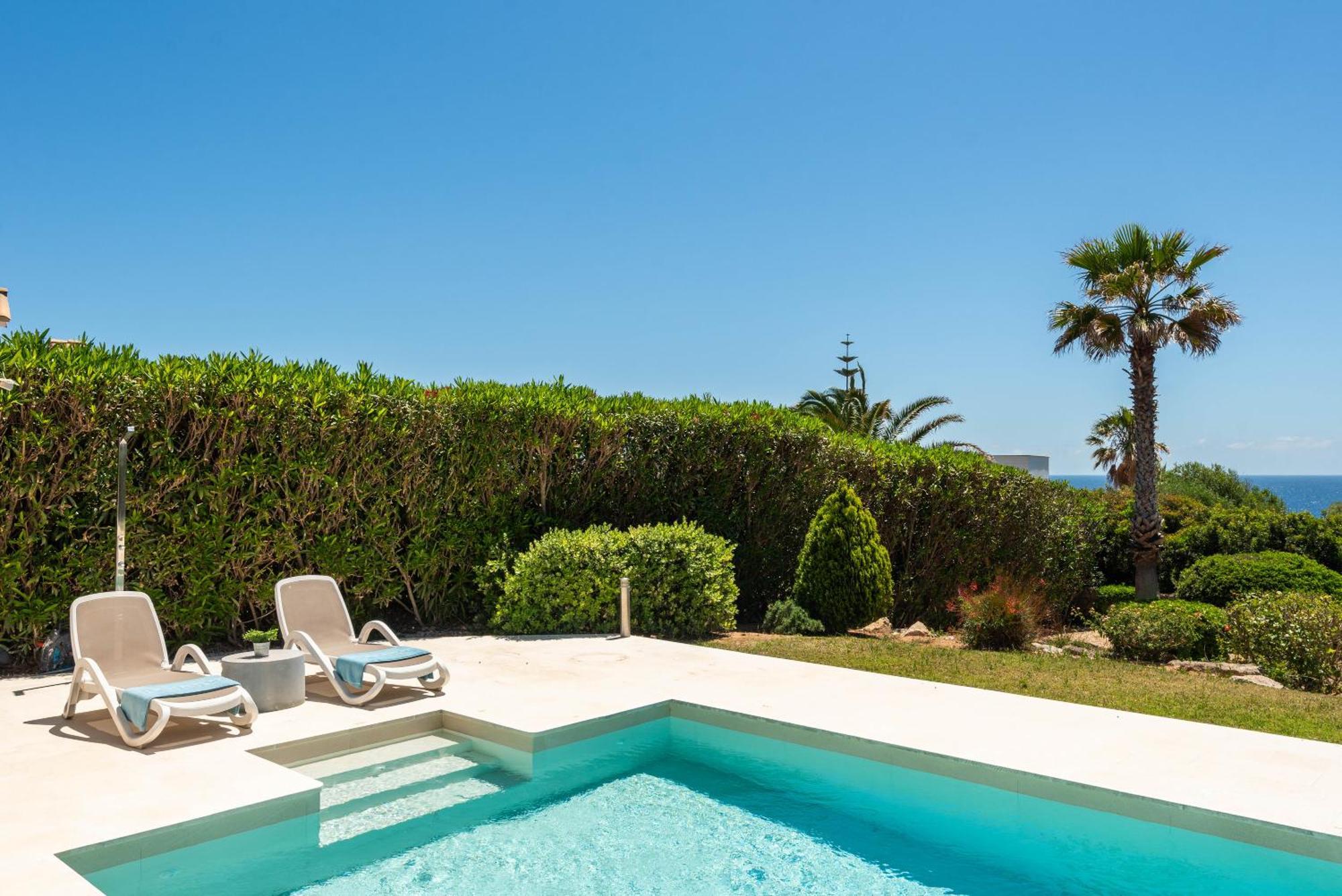 Mariposa Villa Sant Lluís
