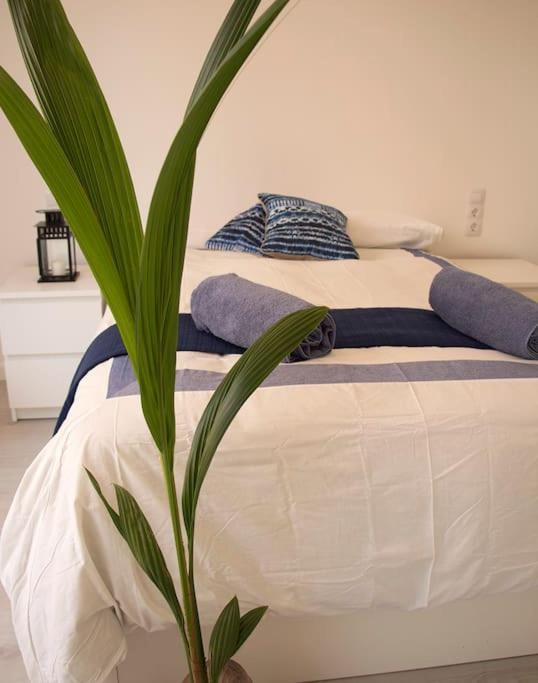 Сasa de vacaciones Triana_villa In With Private Pool - Etv/10914 *
