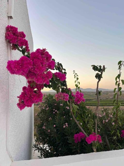 Villa Cortijo Amara Agua Agua Amarga (Almeria)