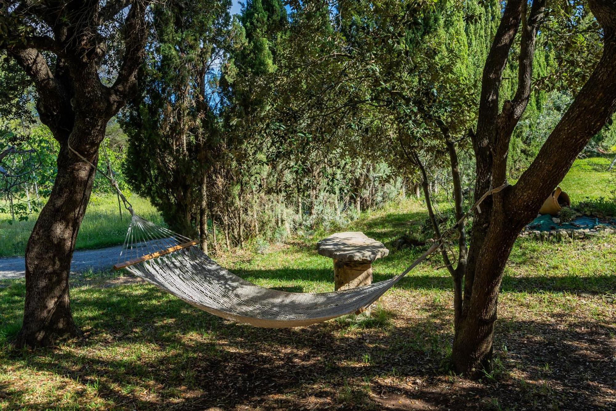 Es Sestador S'hort De Sa Begura