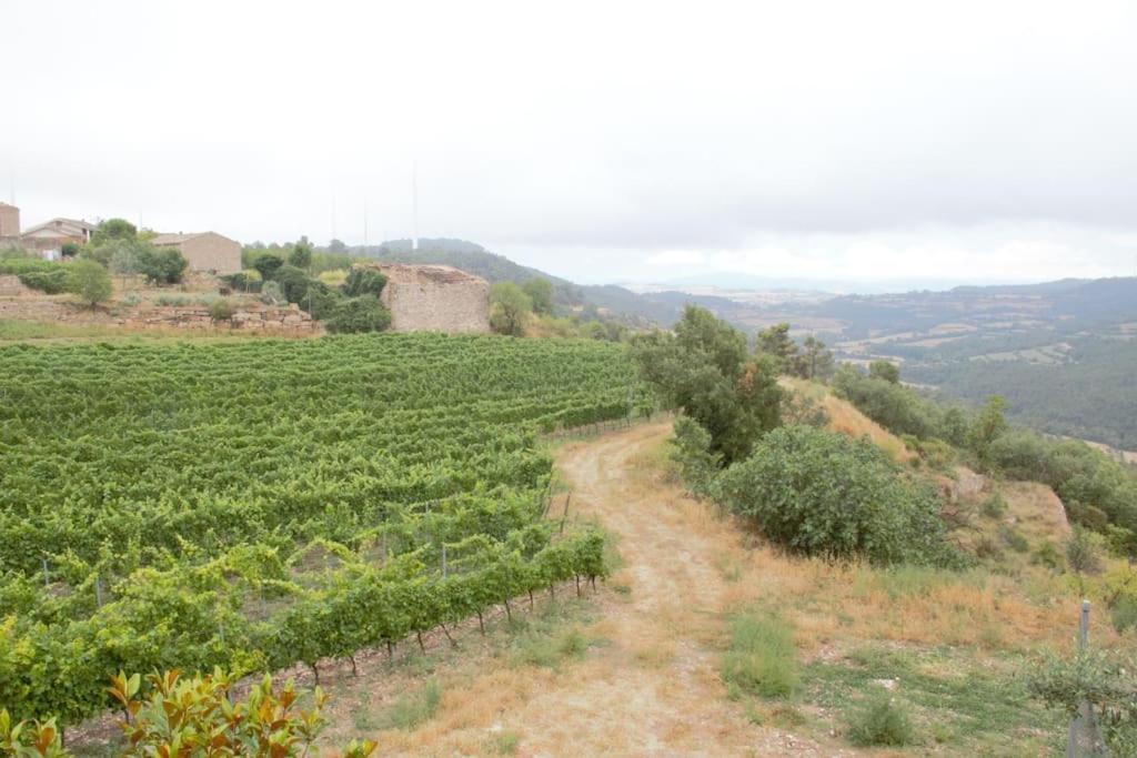 Villa Cal Miret *