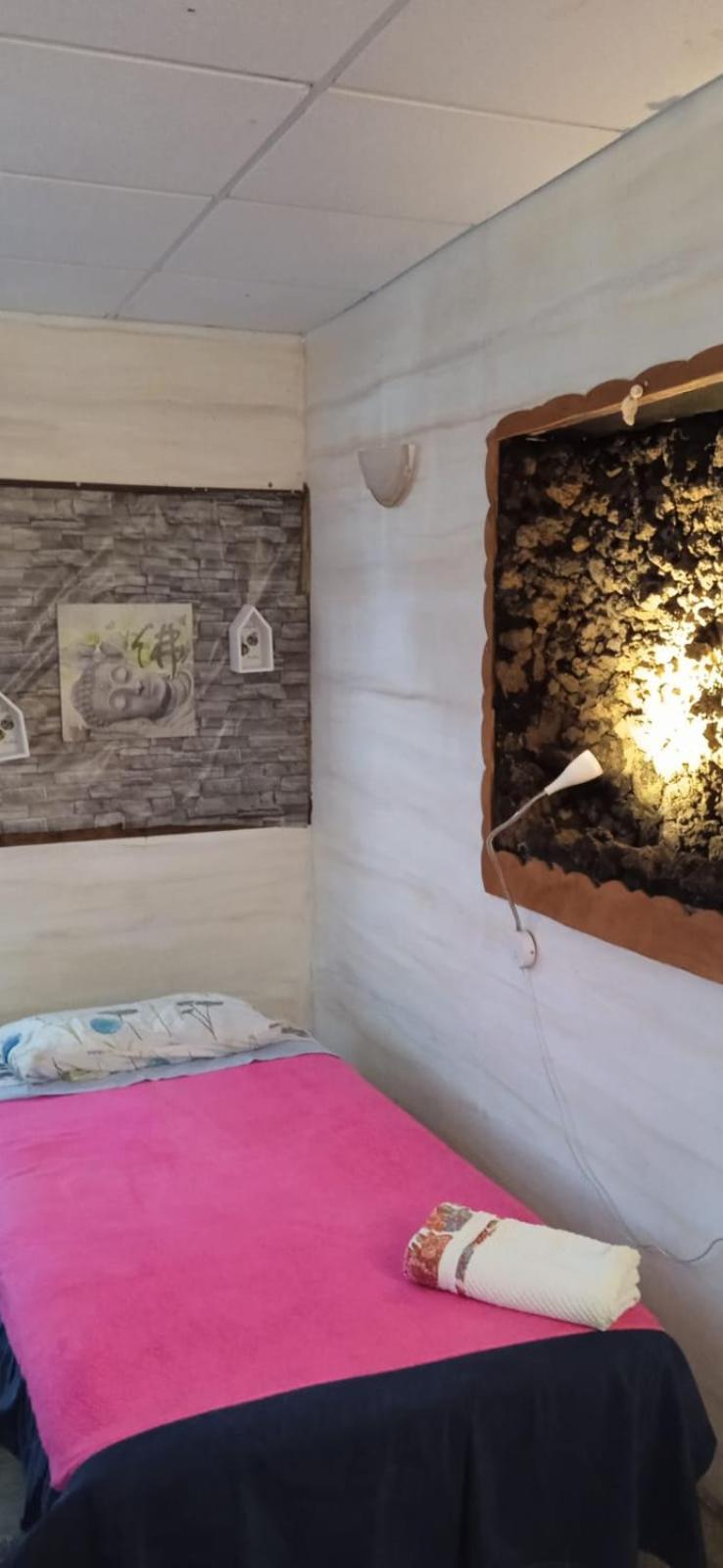Amigos De La Naturaleza Bed and breakfast *