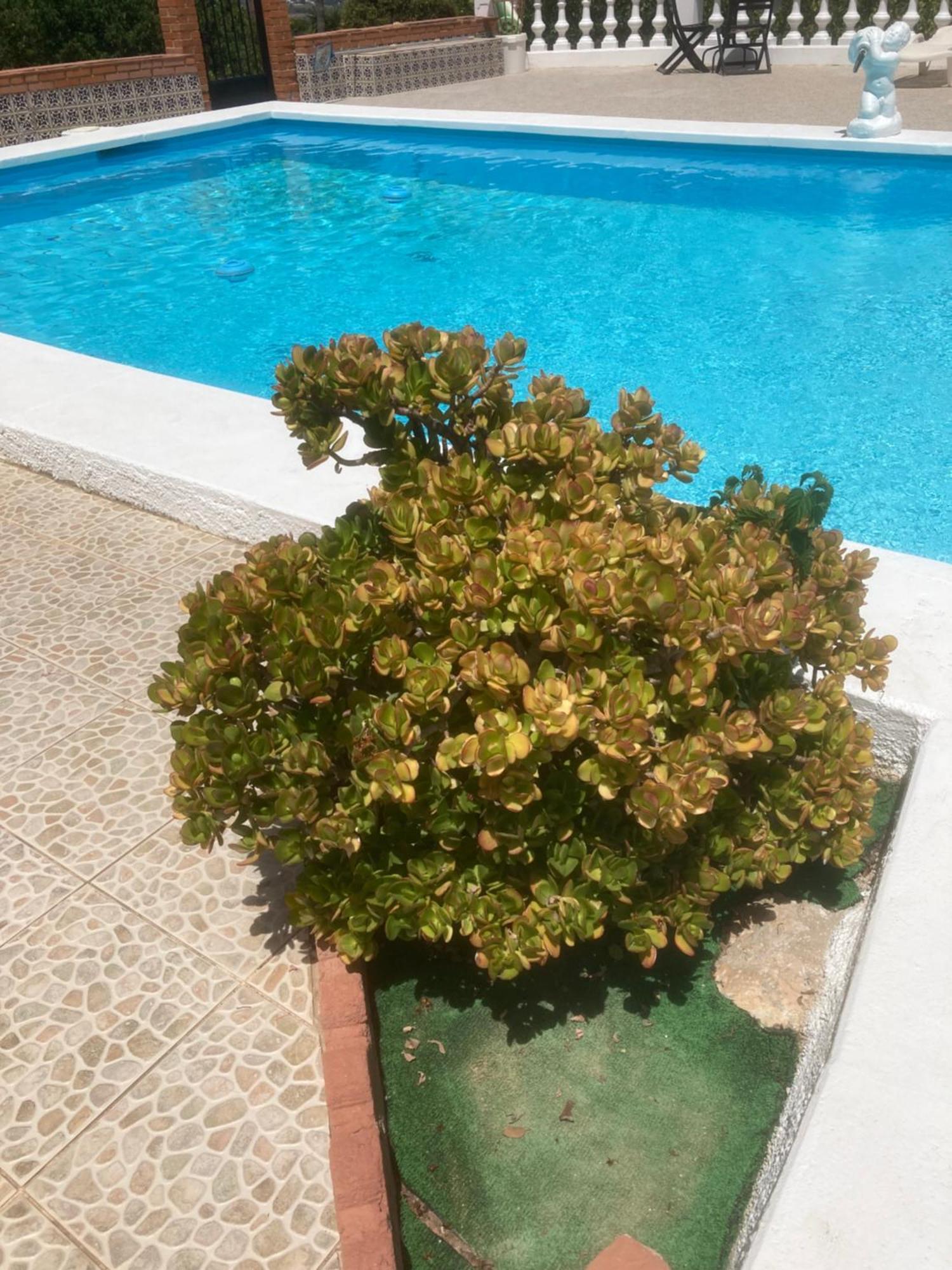 Vakantieverblijf Kluever