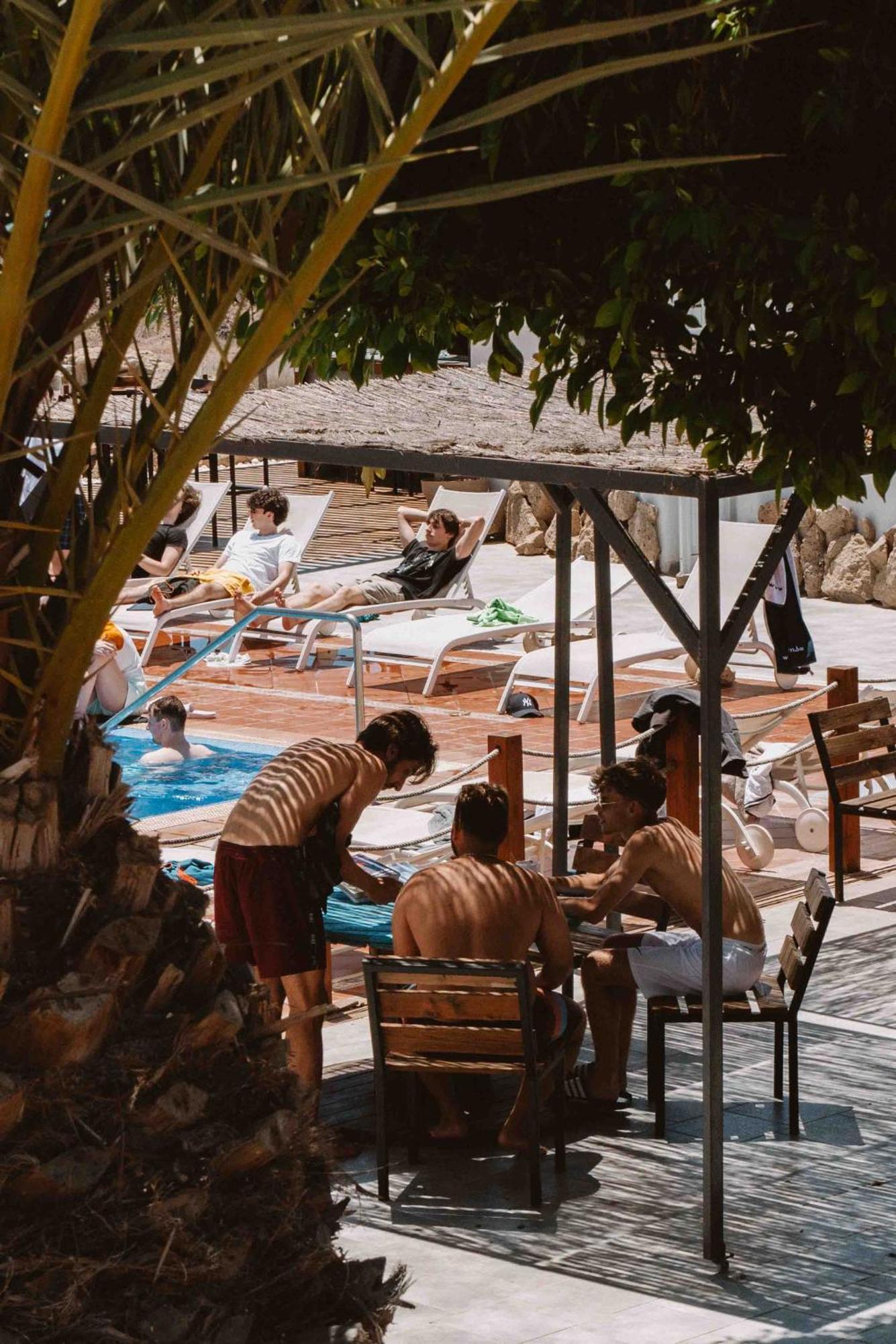 Hostel The Tree House Tenerife