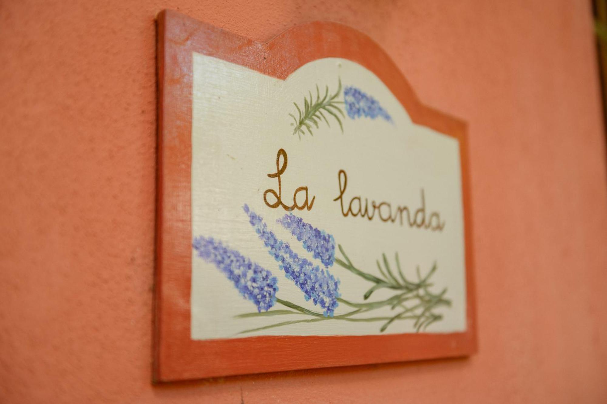 Homeforguest Cosy Rural Flat La Lavanda Surrounded By Nature Apartment