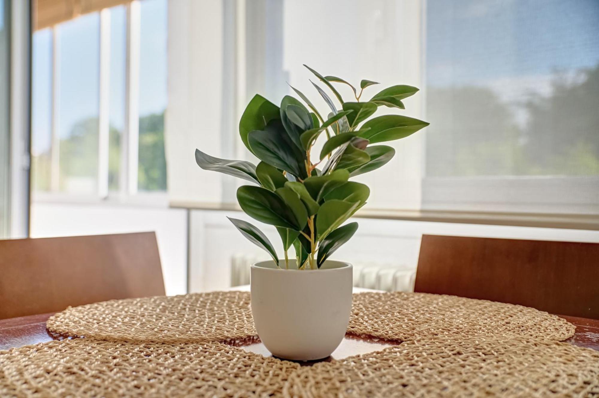Apartamento Camino 3 By Clabao Pamplona