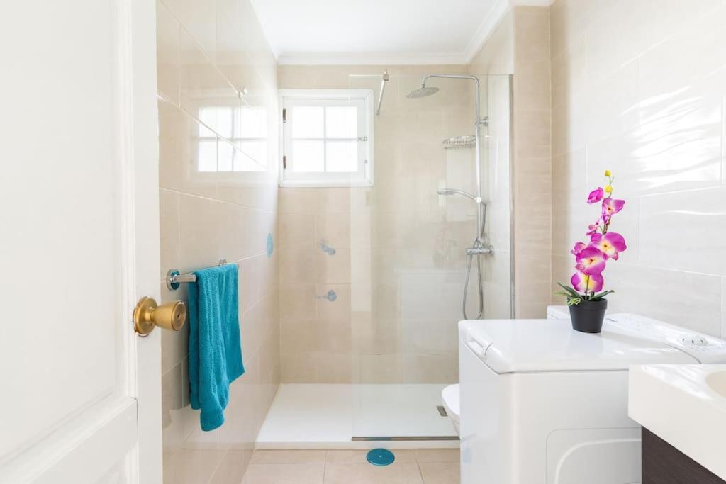 Apartamento Casa Alba