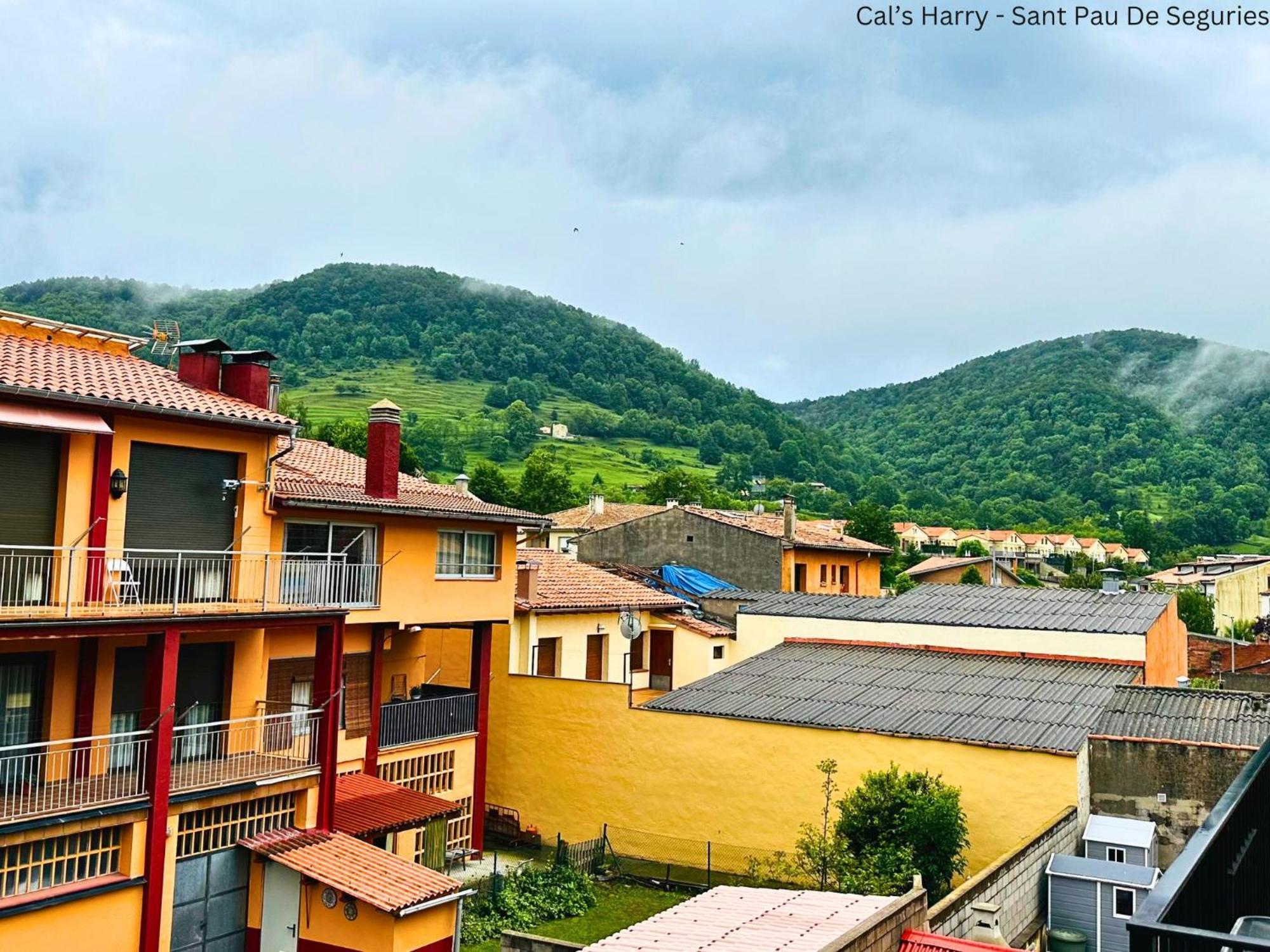 Cal Harrys - La Mejor Casa De Vacaciones En Pyrenees Con Vistas A La Montana Apartamento