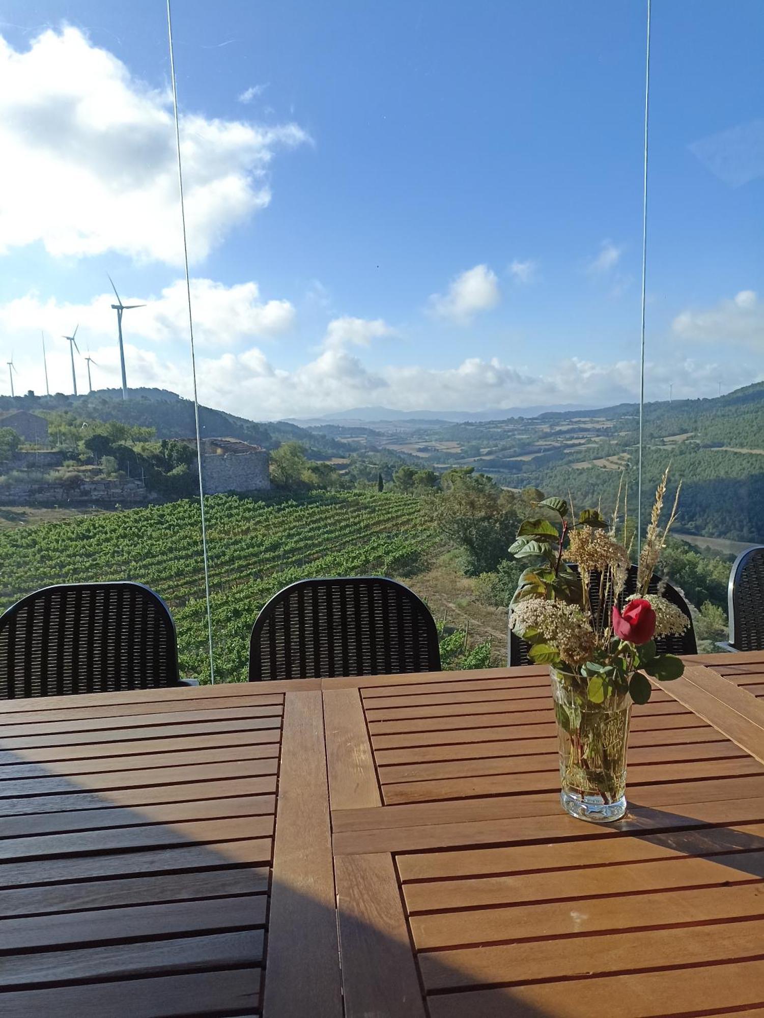 Villa Cal Miret