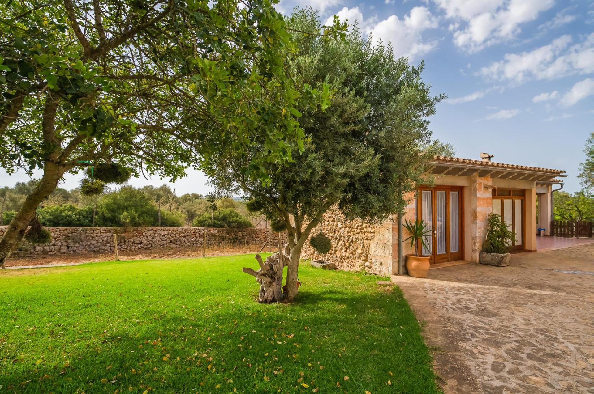 Ideal Mallorca - Sa Rota