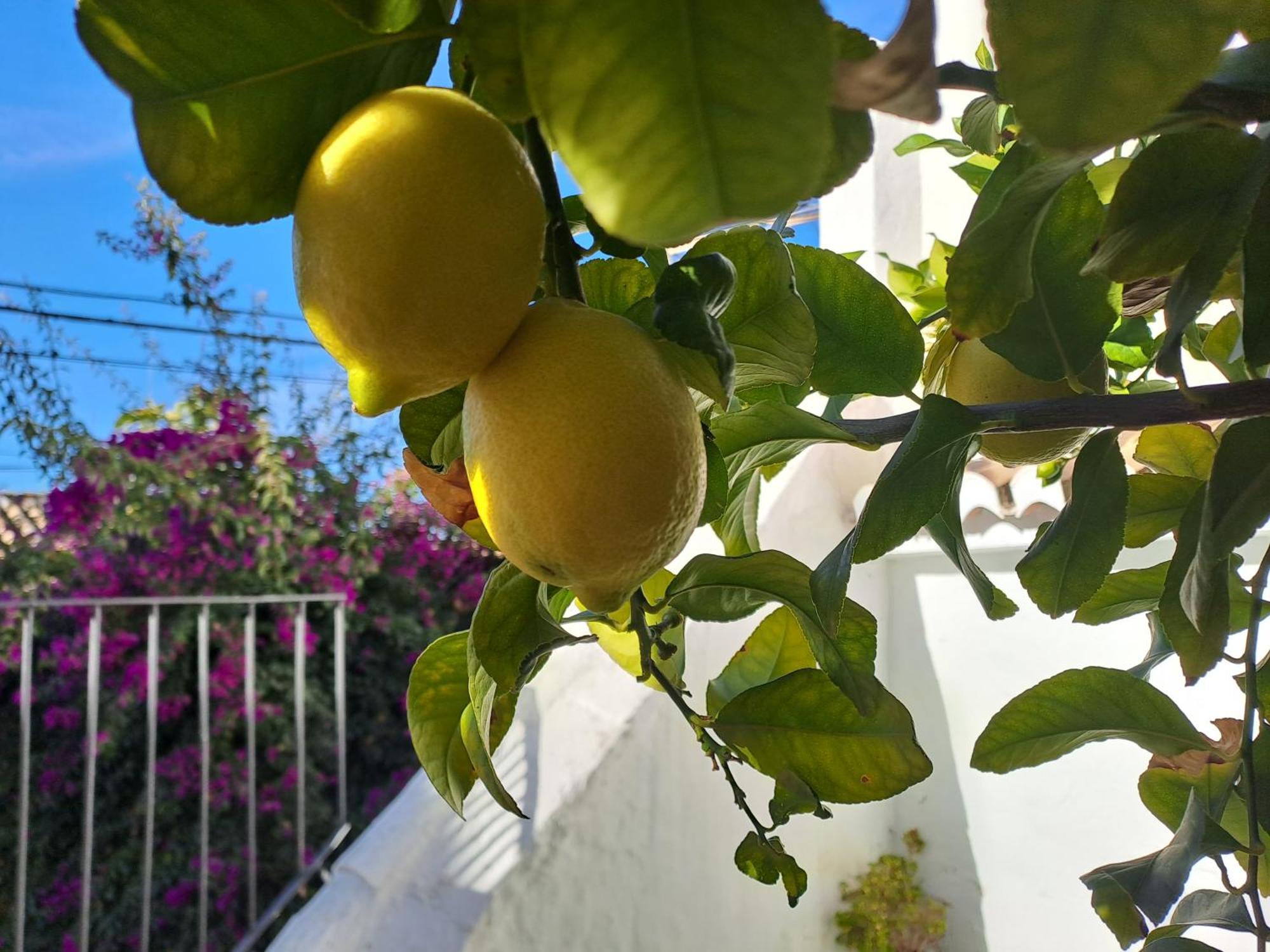 Apartamento Casa Alhambra - Centro Histórico Con Jardín Privado