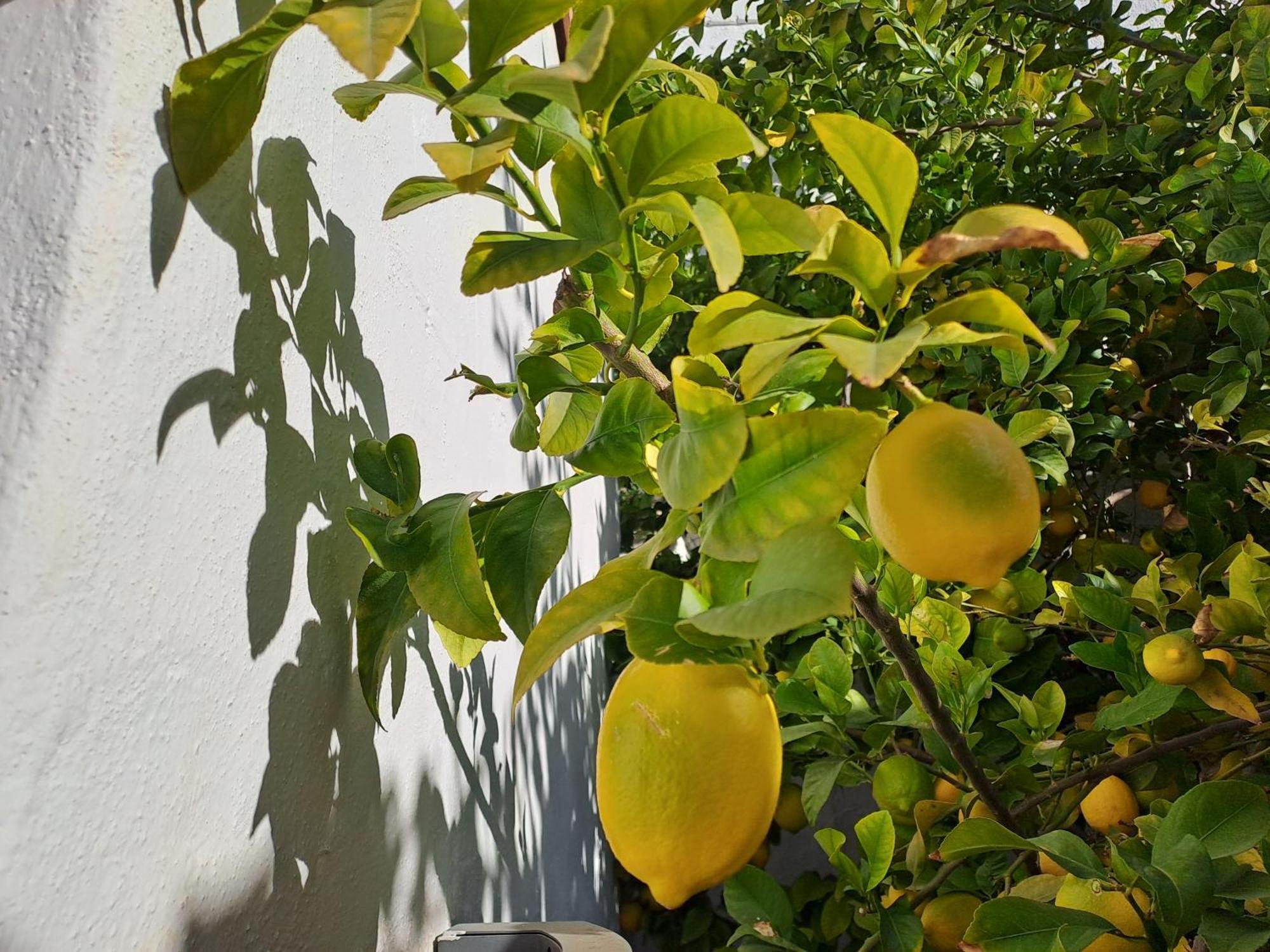 Apartamento Casa Alhambra - Centro Histórico Con Jardín Privado Granada