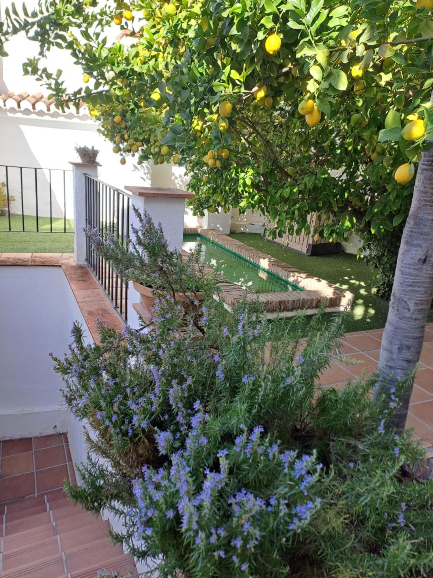 Apartamento Casa Alhambra - Centro Histórico Con Jardín Privado