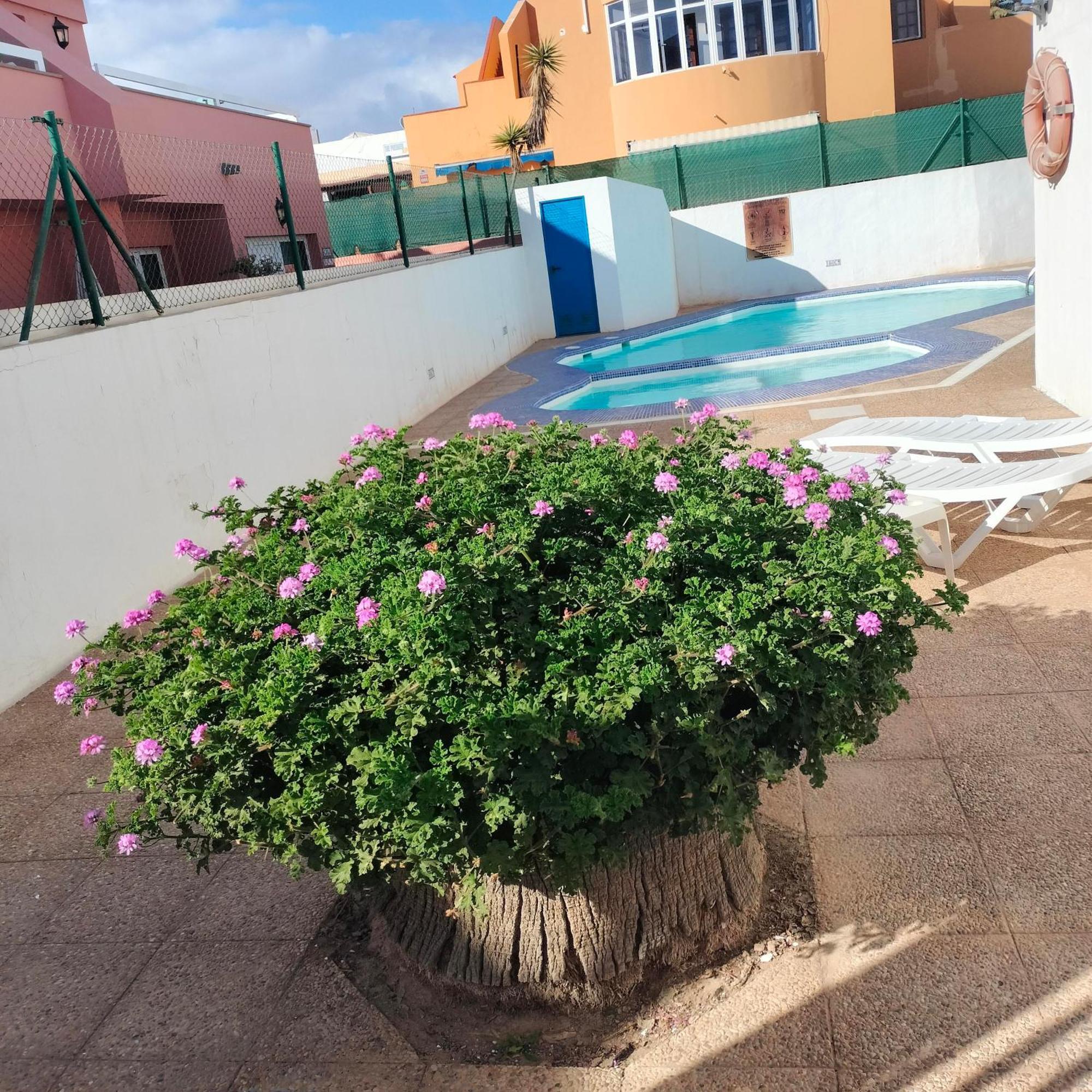 Alipatri Apartment Caleta De Fuste