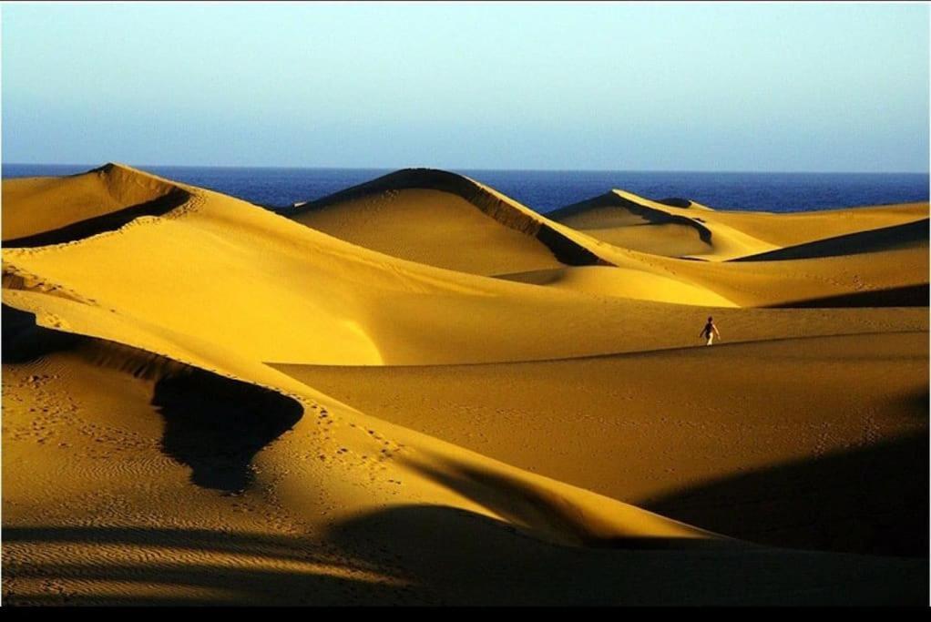 Eagle View Maspalomas (Gran Canaria)