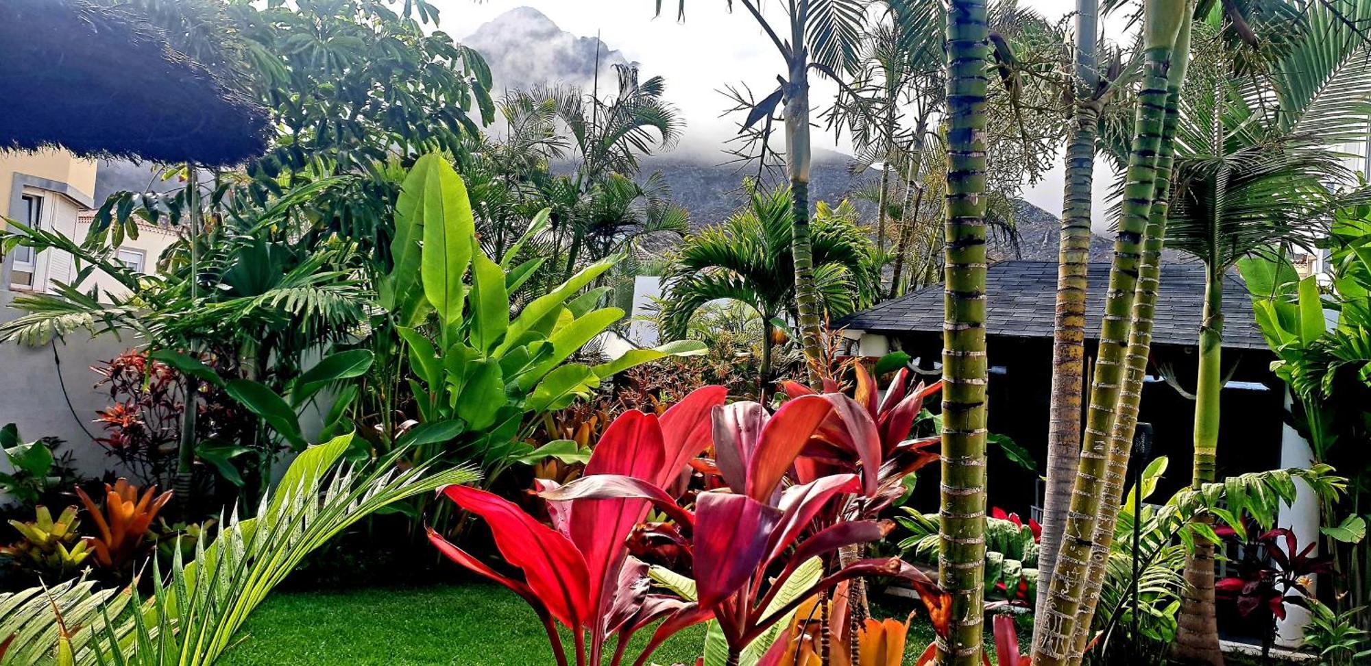 La Selvita Homestay *