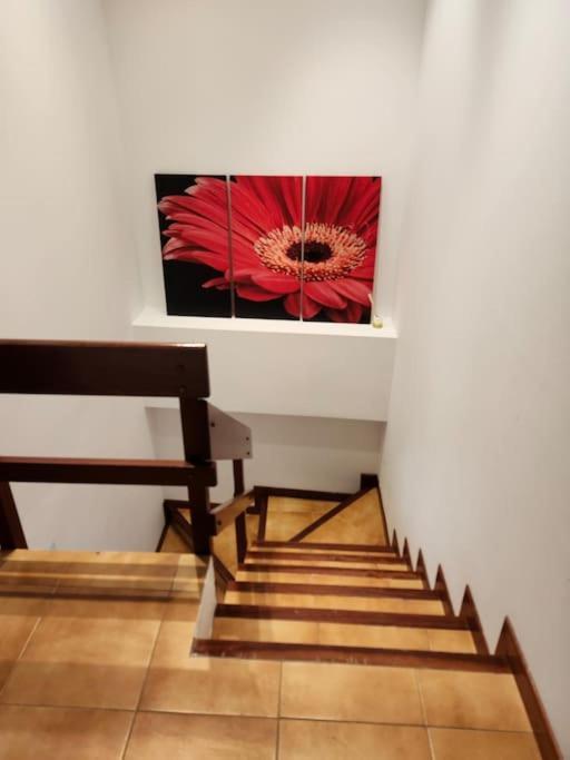 Duplex Rua Sol - Netflix *