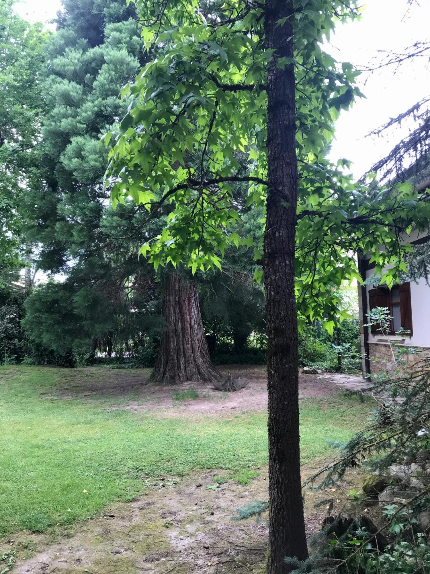 Caserio Arrigorri Excelente Ubicacion Jardin Con Barbacoa 14 Plazas * Murguia