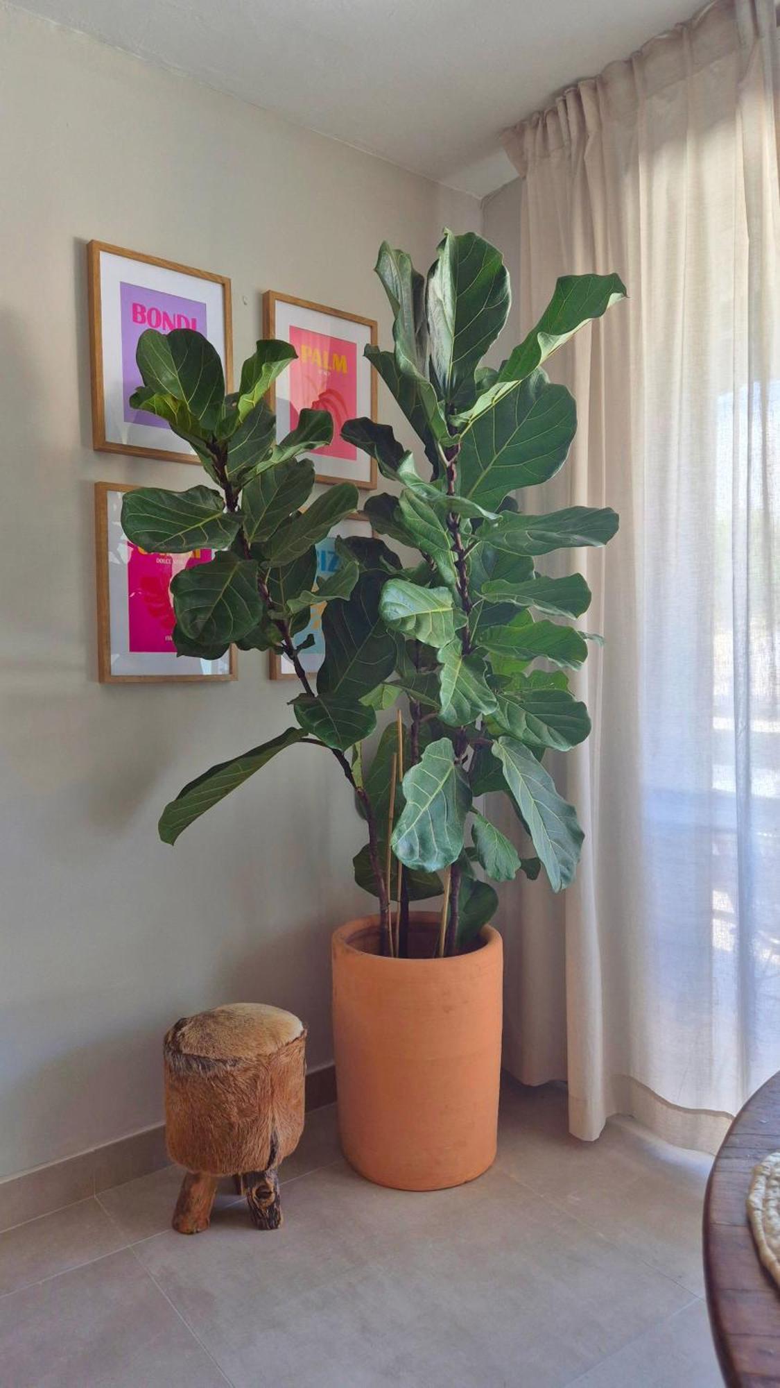 Apartamento La Casita Bonita - 30m From The Arenal - Private Parking Jávea