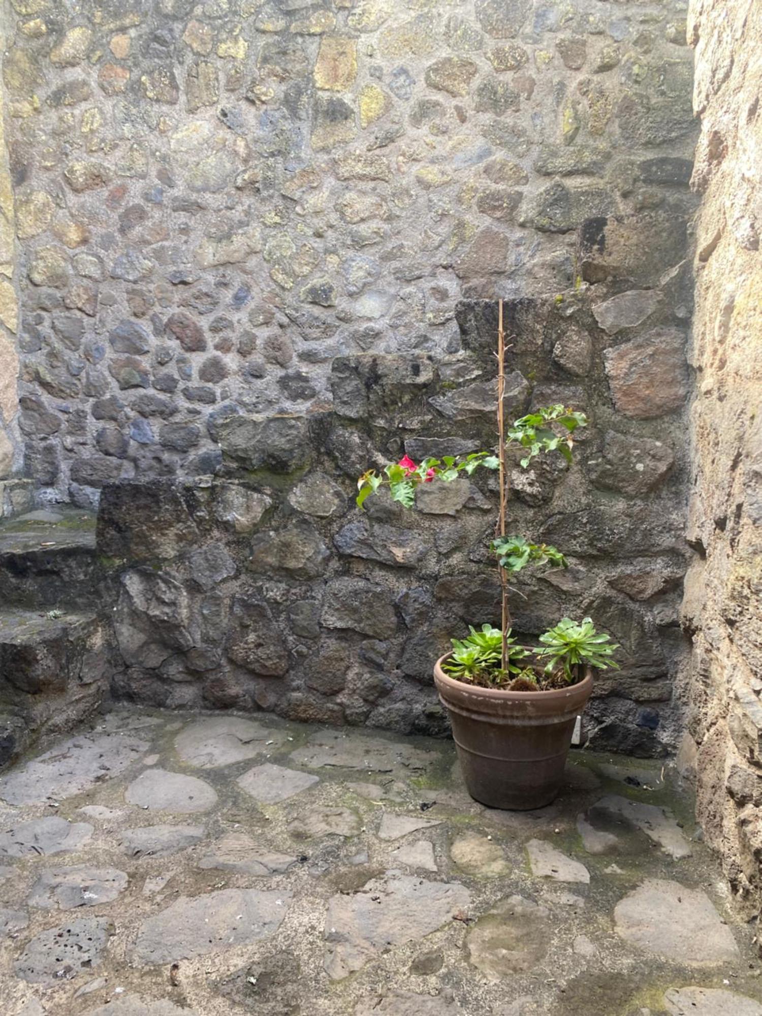 Rural House To Take A Break, La Serreria 25 - Private Garden Сasa de vacaciones Tacoronte