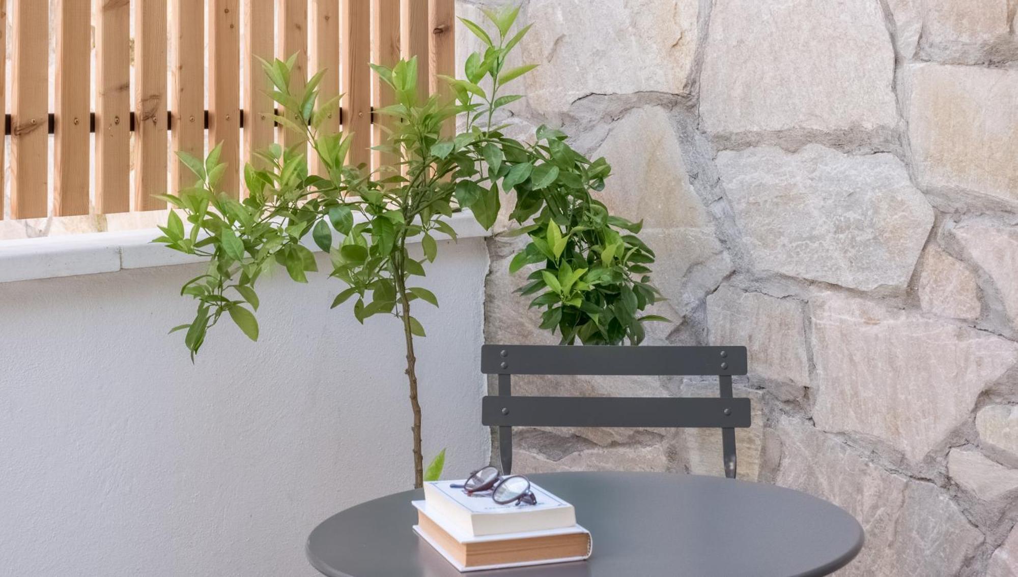 Farm stay Adaka
