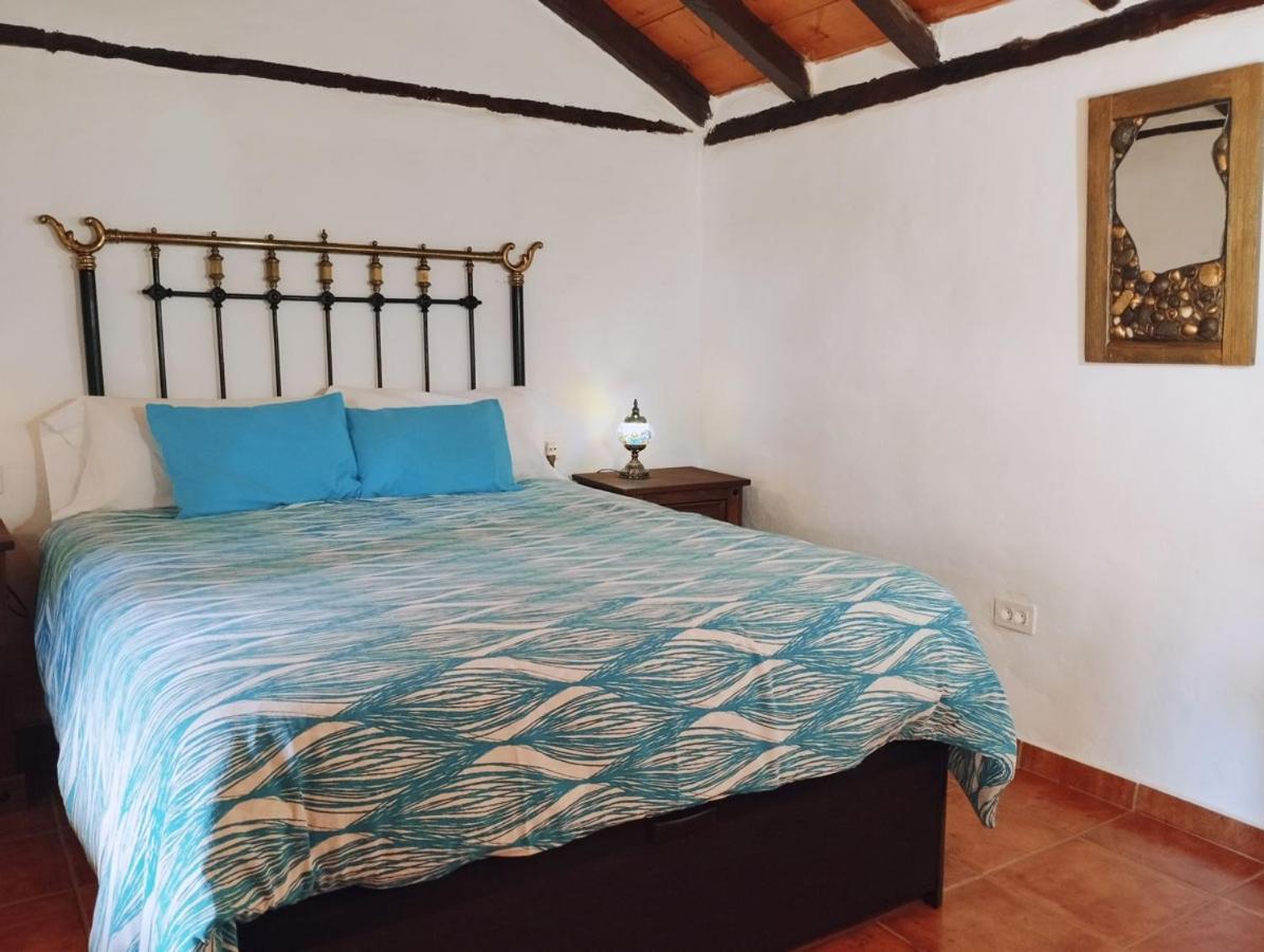 Luz De Aroa
